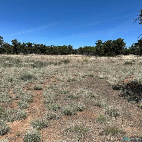 Vacant Land For Sale - 2 Rabbit Circle<br/> Pie Town, NM 87827