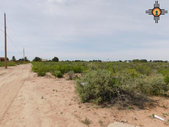 Tennyson, Deming, New Mexico image 6