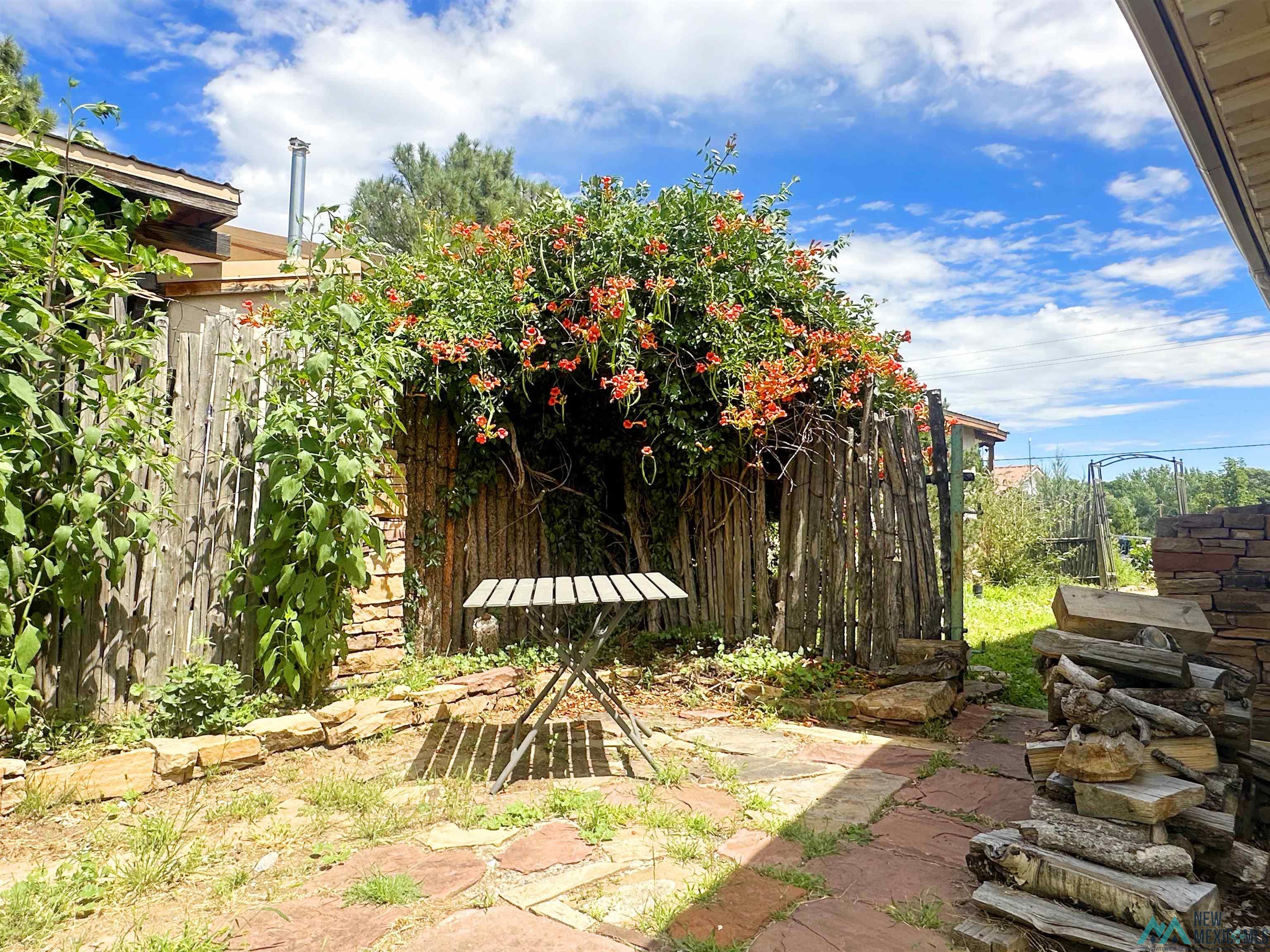 1909 Hot Boulevard, Las Vegas, New Mexico image 44