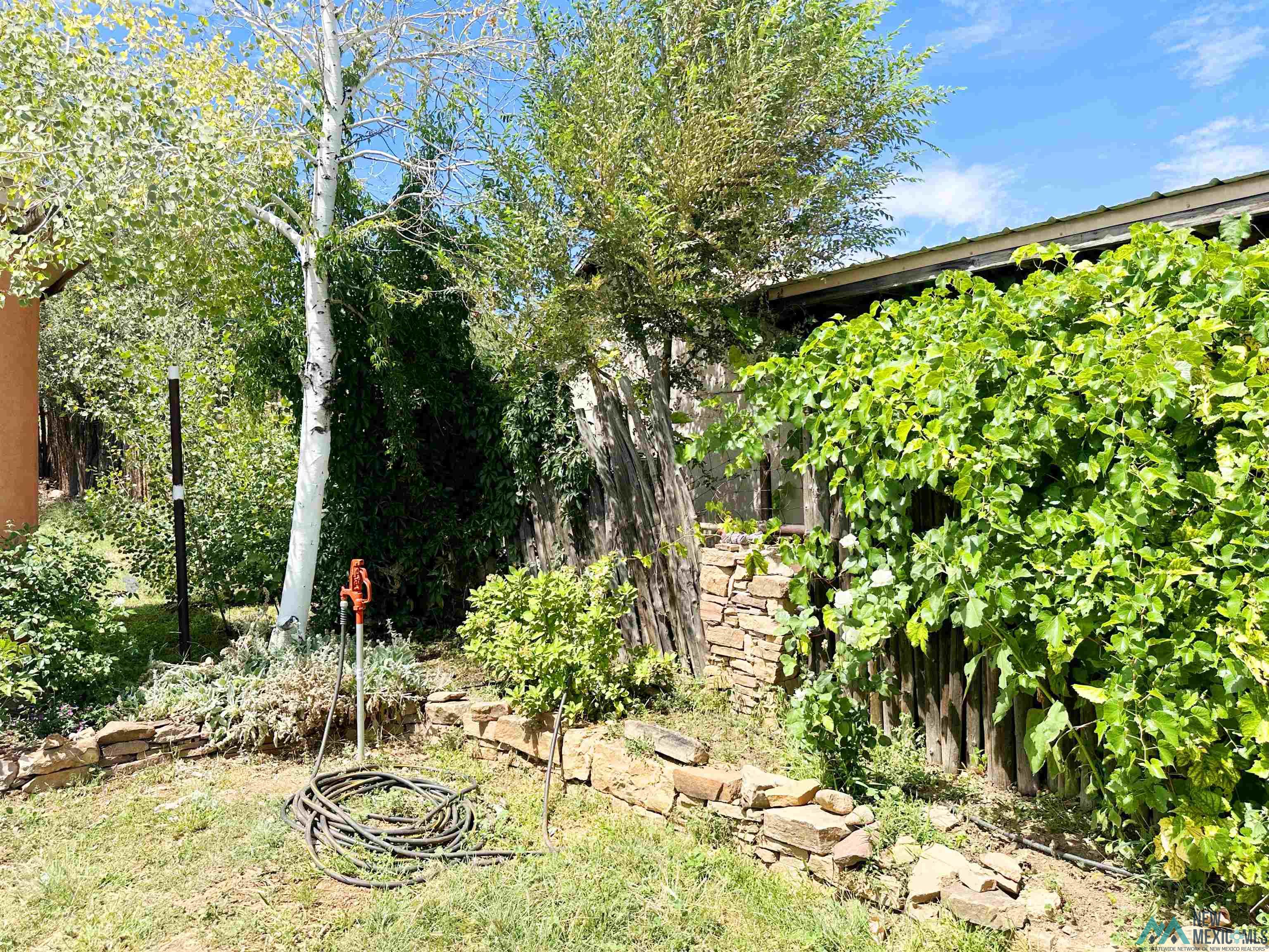 1909 Hot Boulevard, Las Vegas, New Mexico image 42