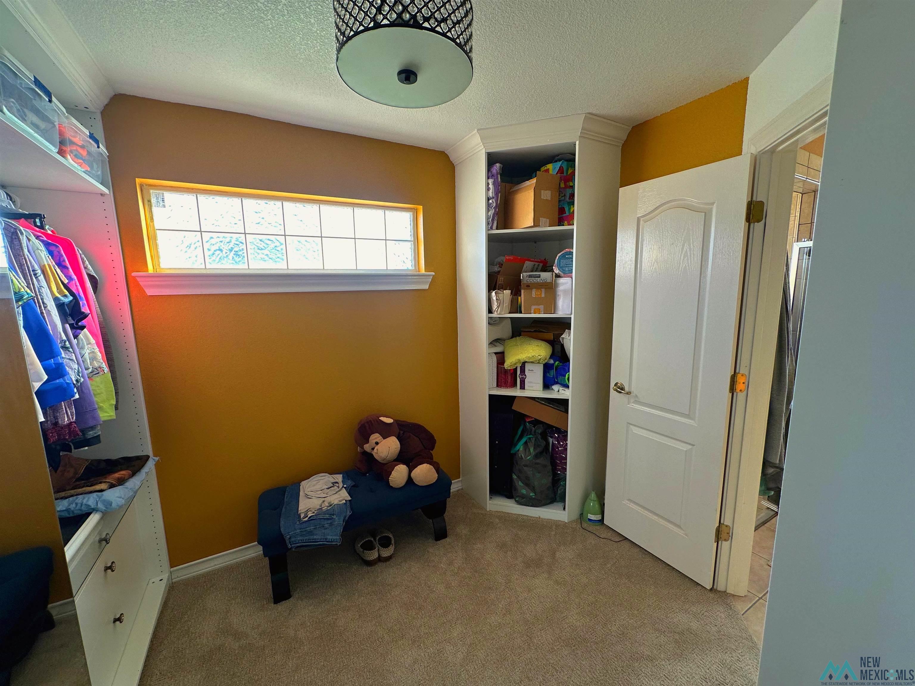 5501 S Stagecoach Trail, Clovis, New Mexico image 28