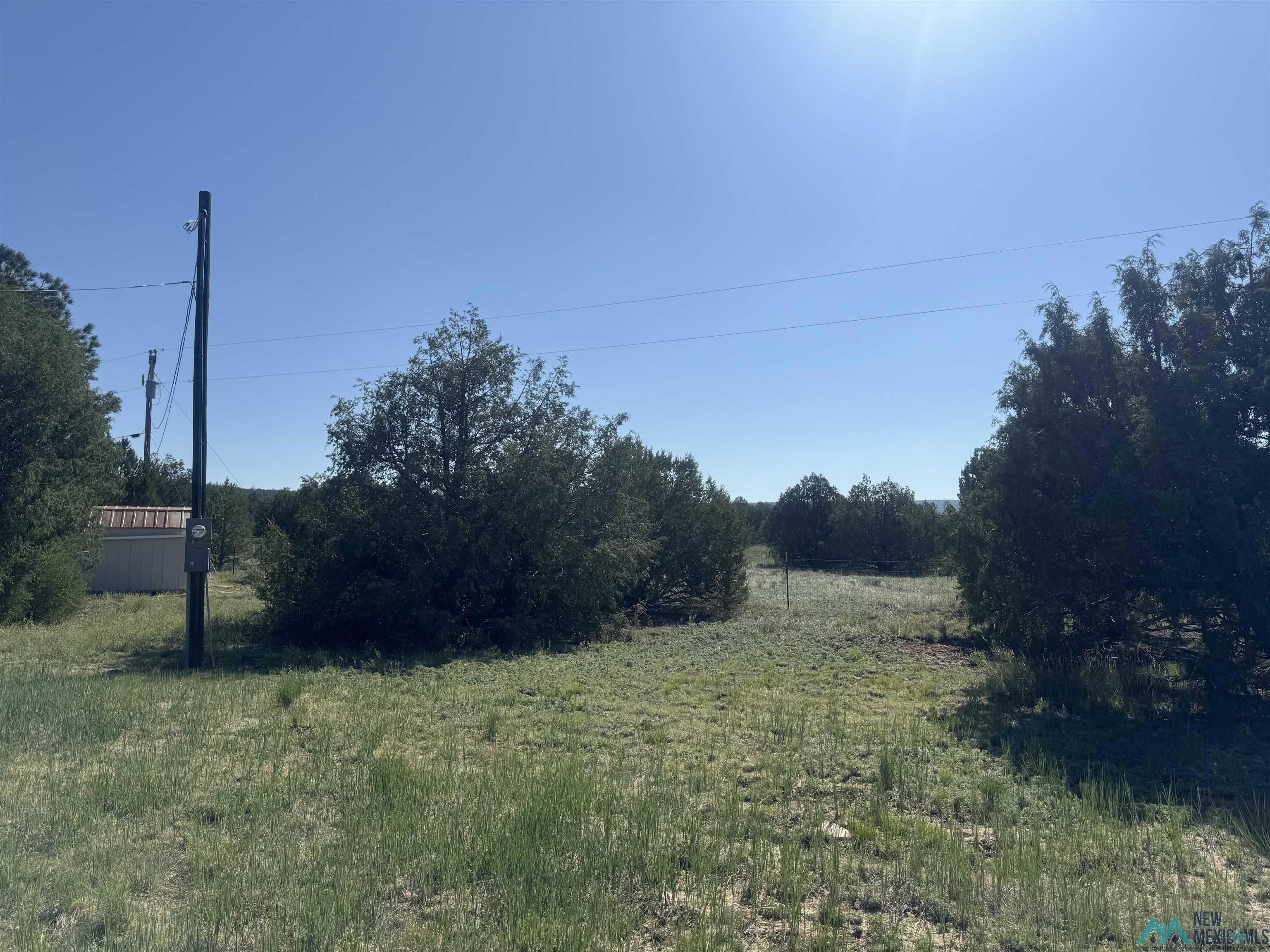 72 Woodland Drive, Timberlake, Texas image 24