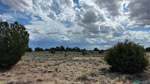 Vacant Land For Sale - Bridle Road<br/> Quemado, NM 87829