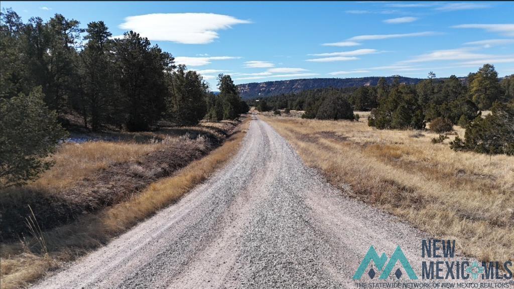 E Lobo Road, Ramah, New Mexico image 6
