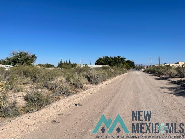 0000 Tennyson Drive, Deming, New Mexico image 1