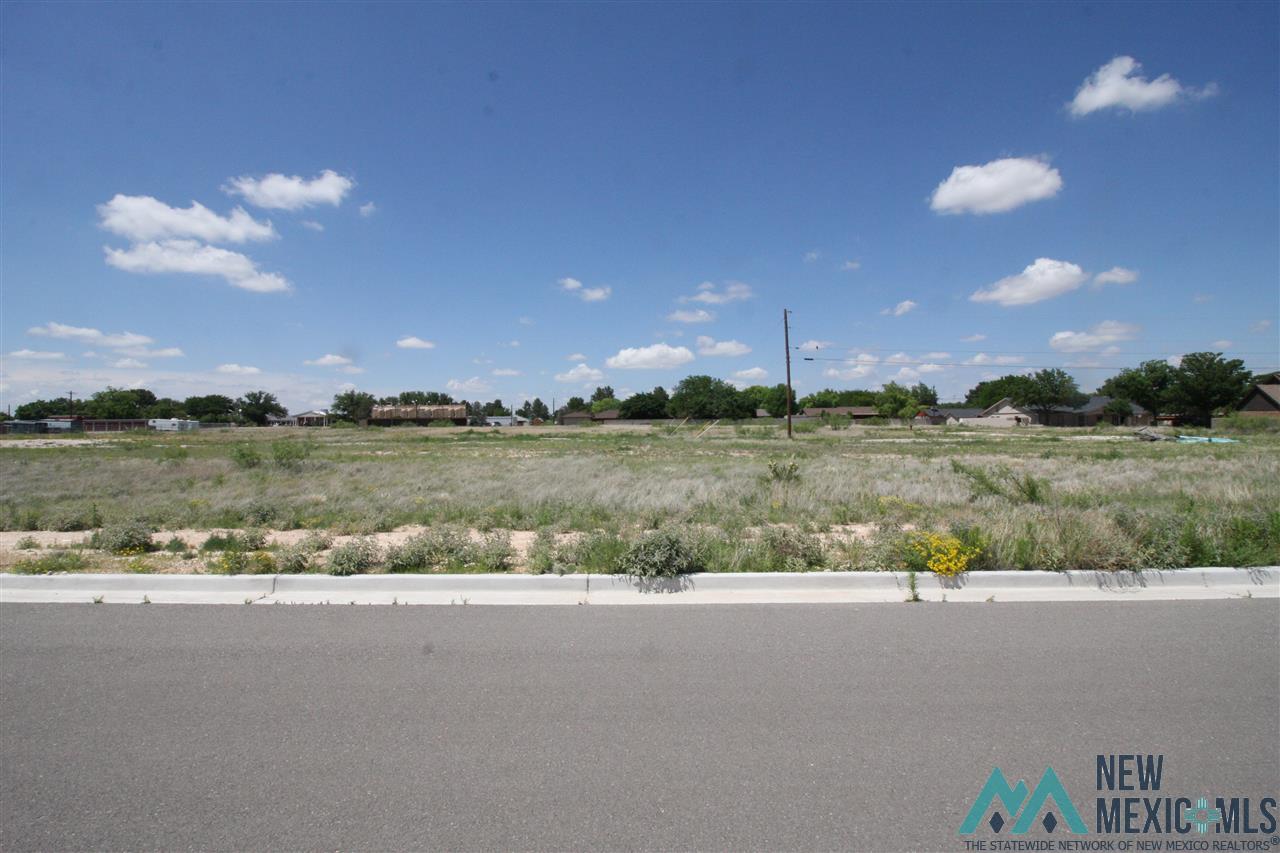 Lot 9A Blk 8 W Avenue K Street, Lovington, New Mexico image 1