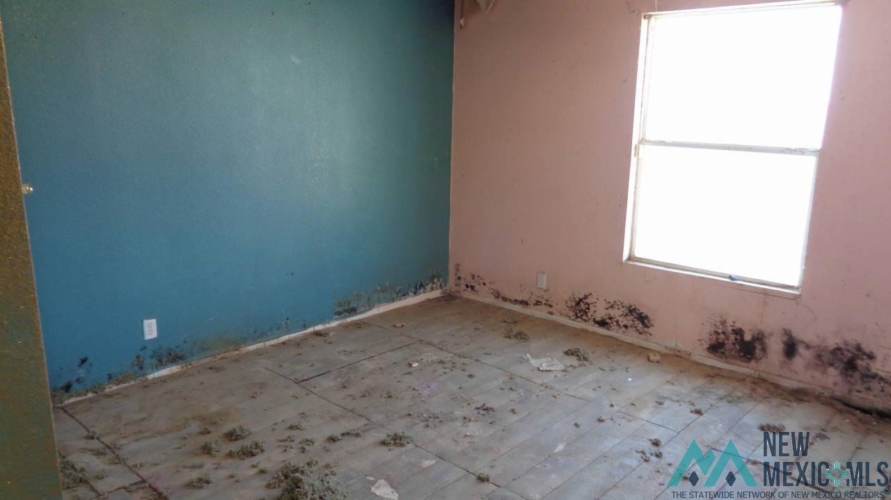 412 Redwood Road, Hagerman, New Mexico image 14