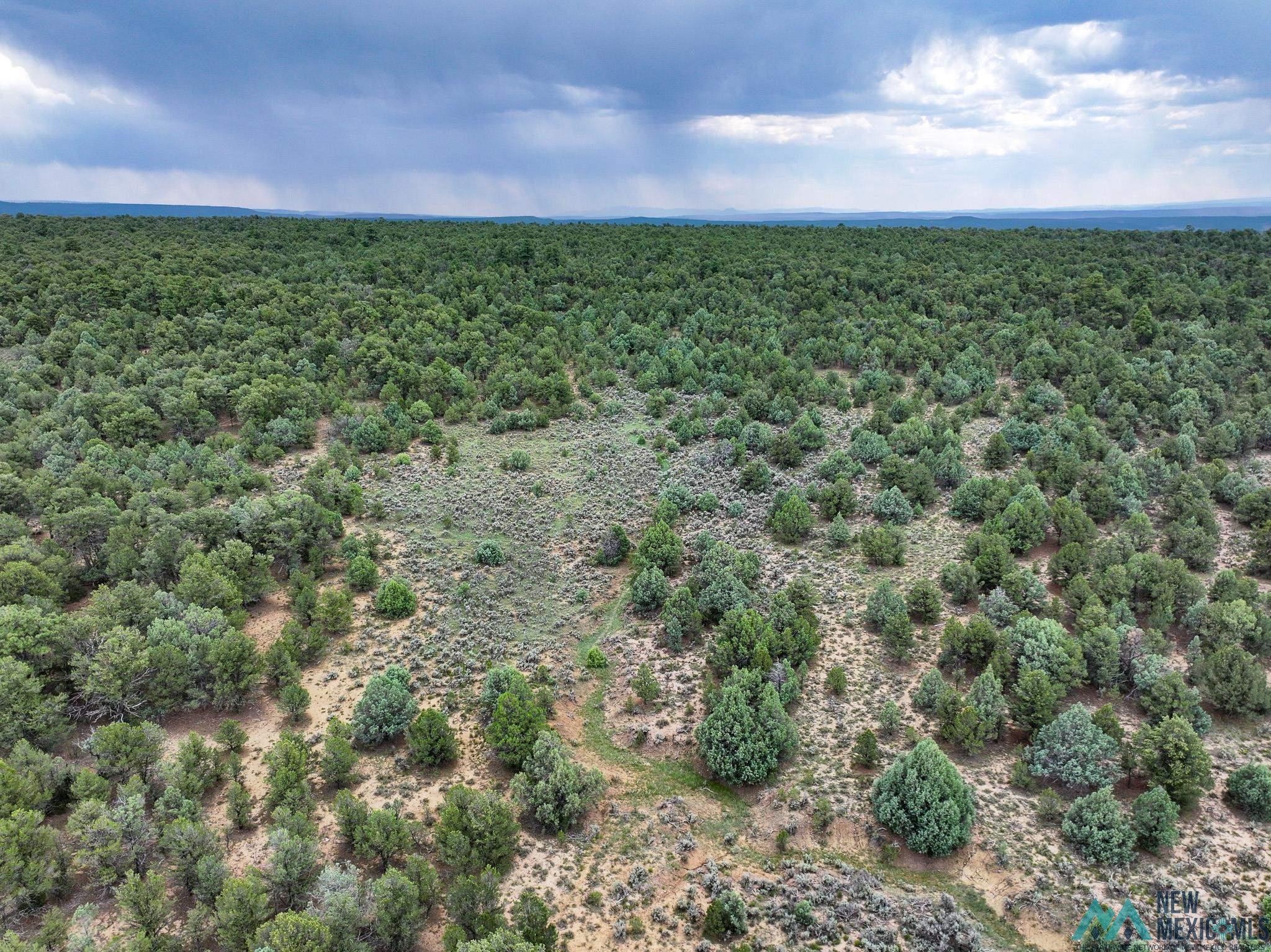 000 Highway 84, Tierra Amarilla, Texas image 9