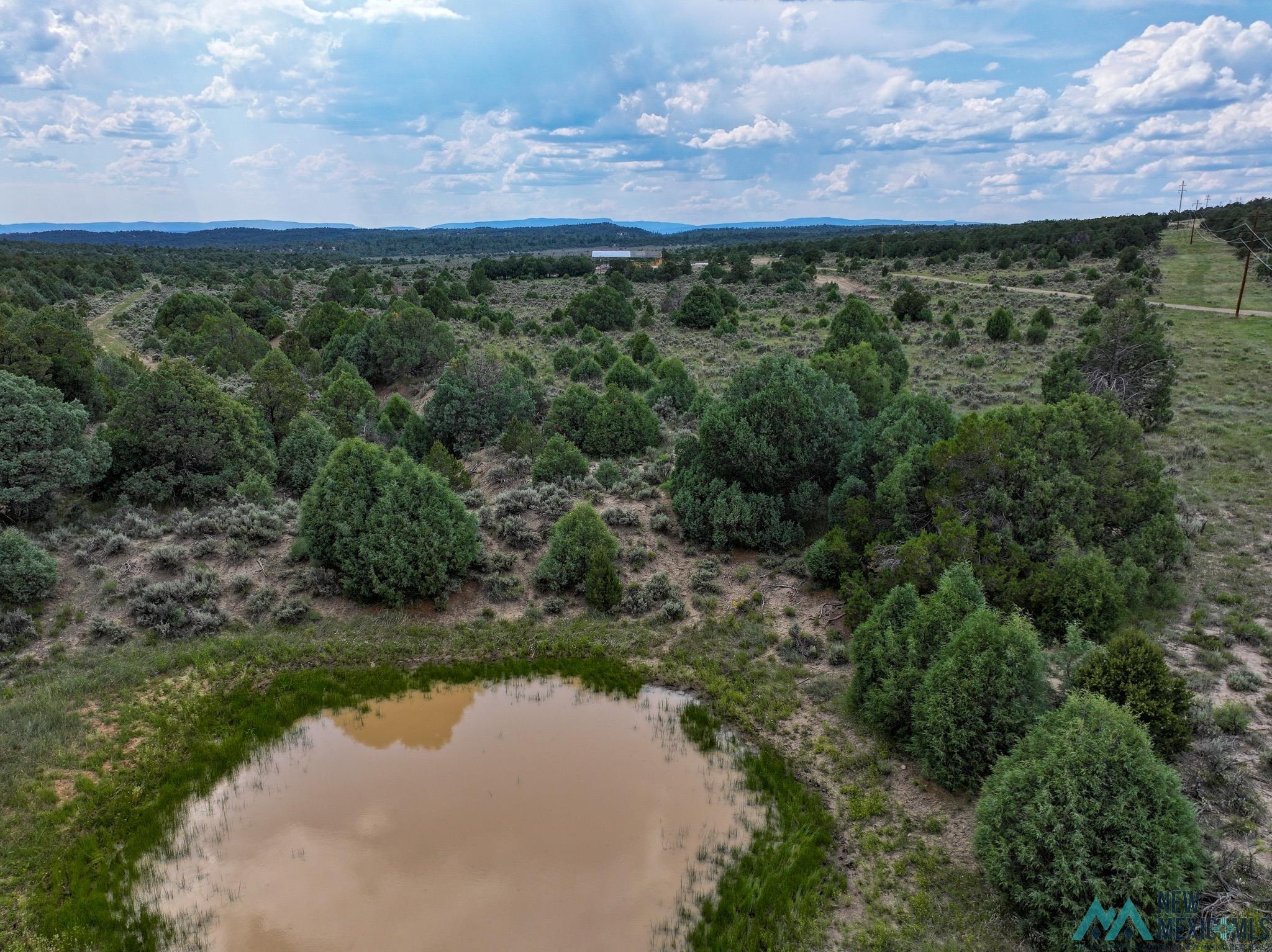 000 Highway 84, Tierra Amarilla, Texas image 13