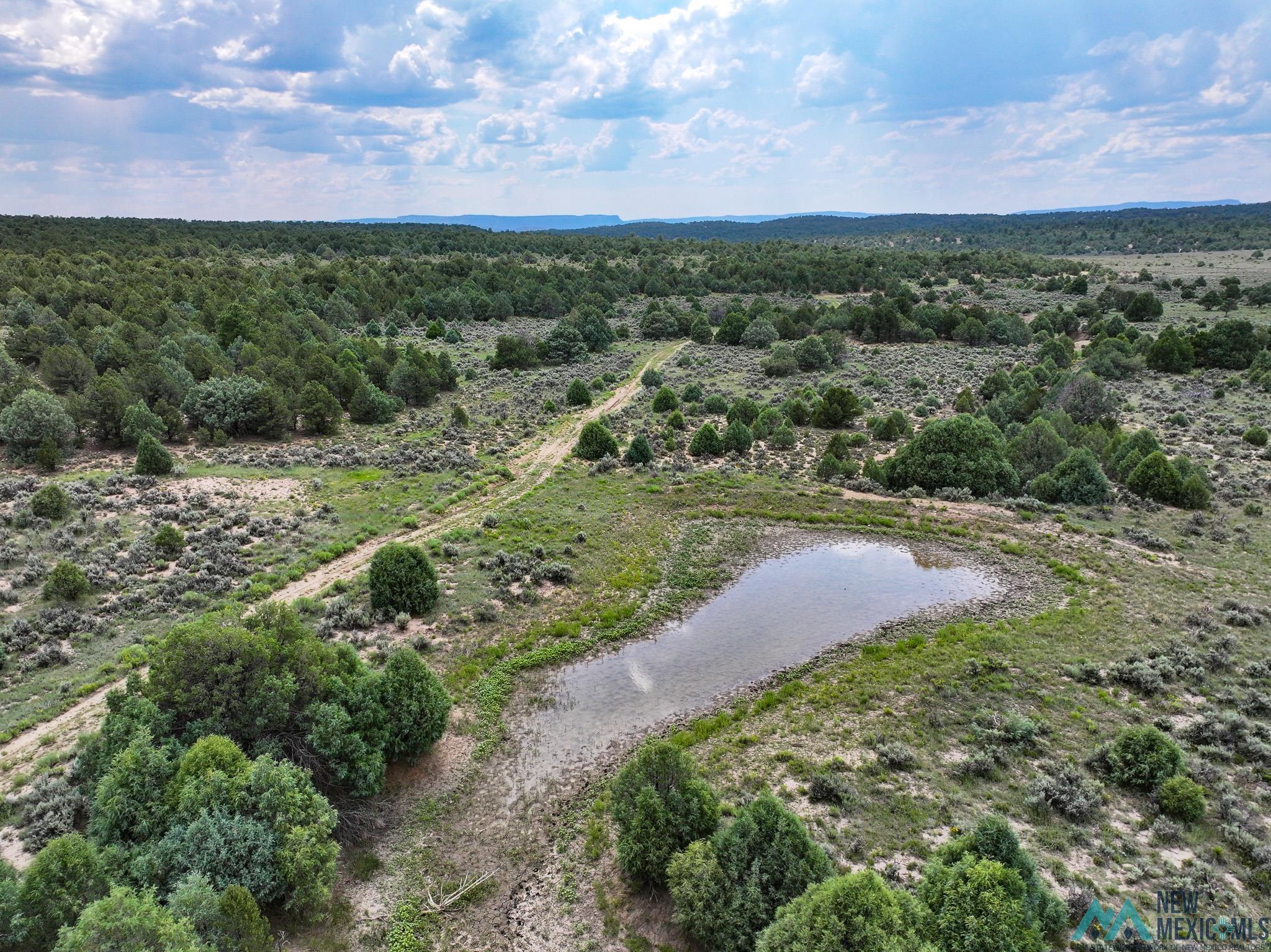 000 Highway 84, Tierra Amarilla, Texas image 14