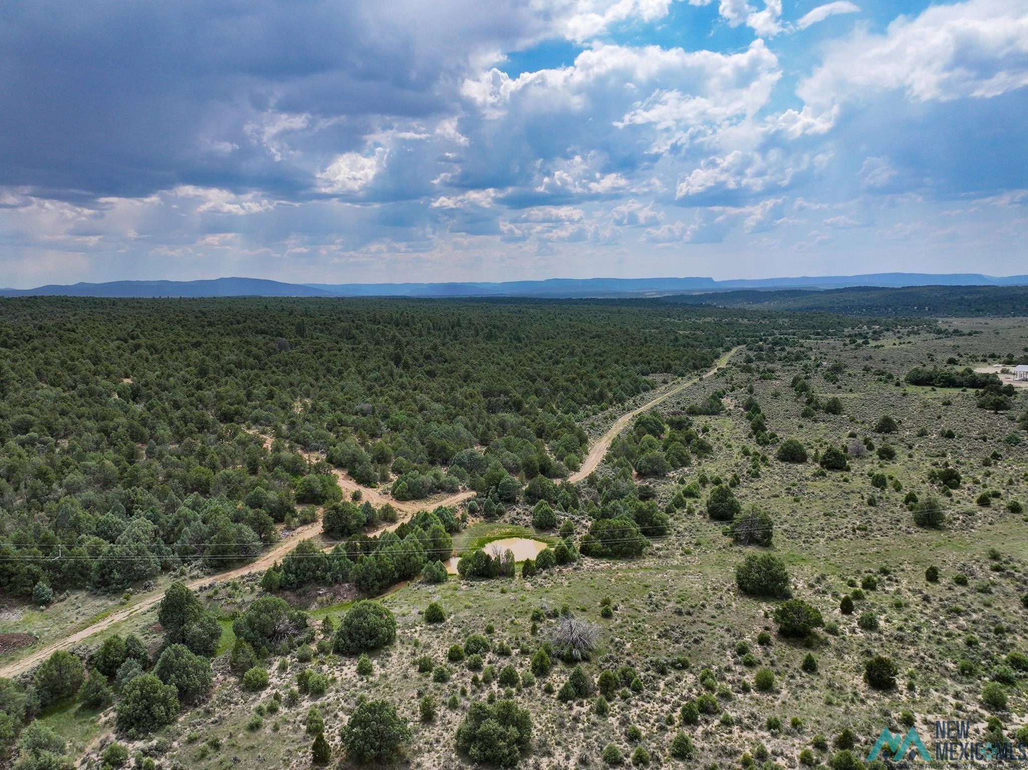 000 Highway 84, Tierra Amarilla, Texas image 17