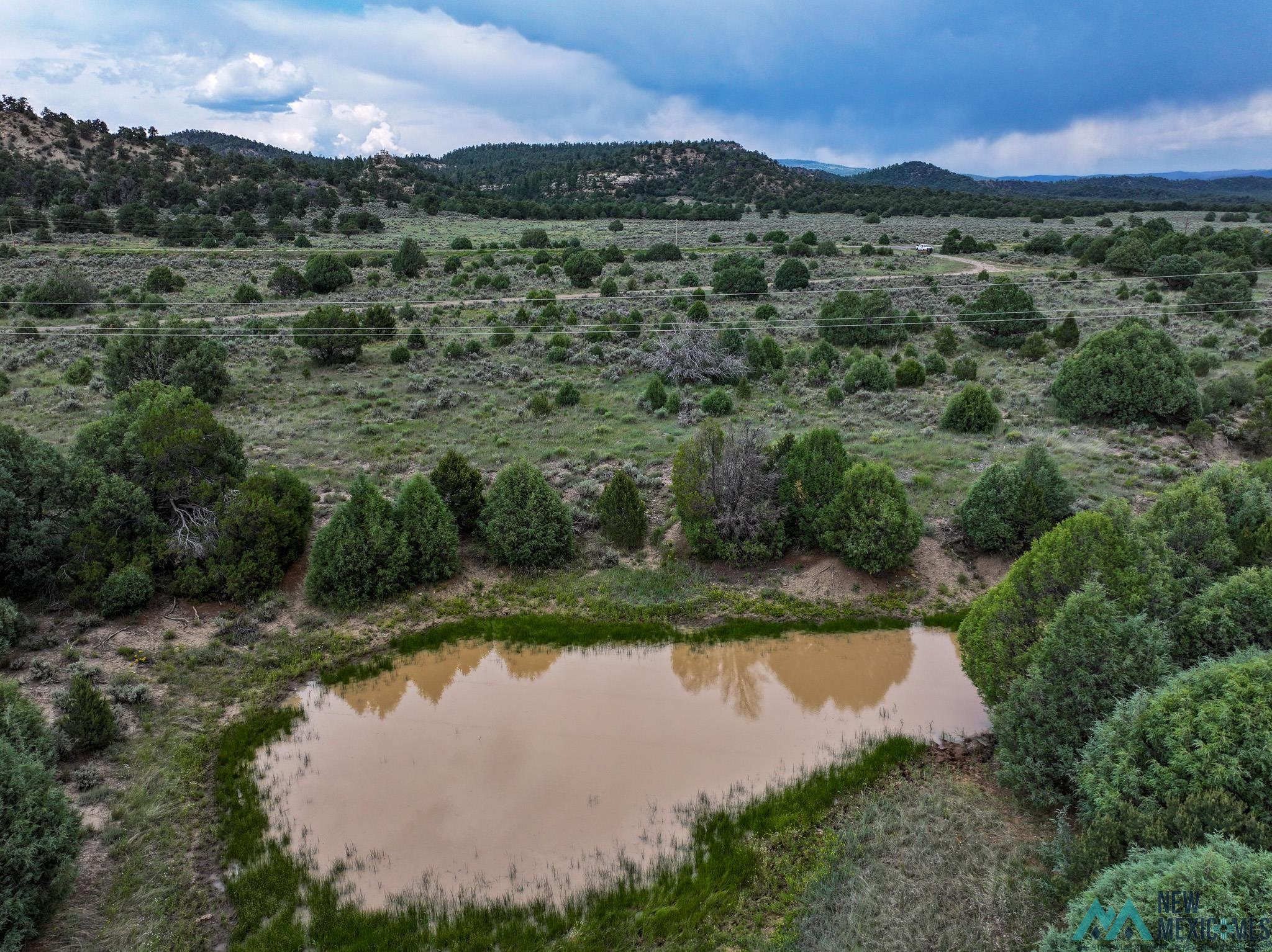 000 Highway 84, Tierra Amarilla, Texas image 3