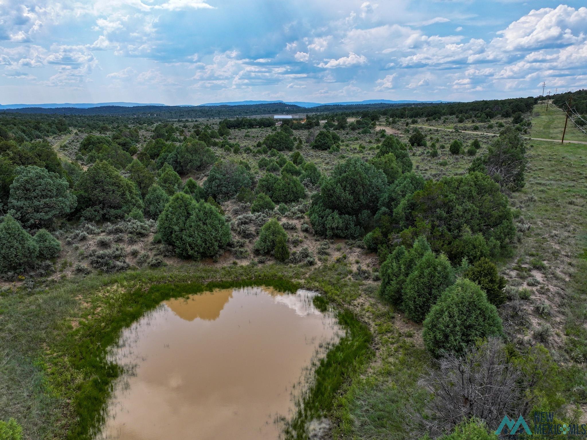 000 Highway 84, Tierra Amarilla, Texas image 16