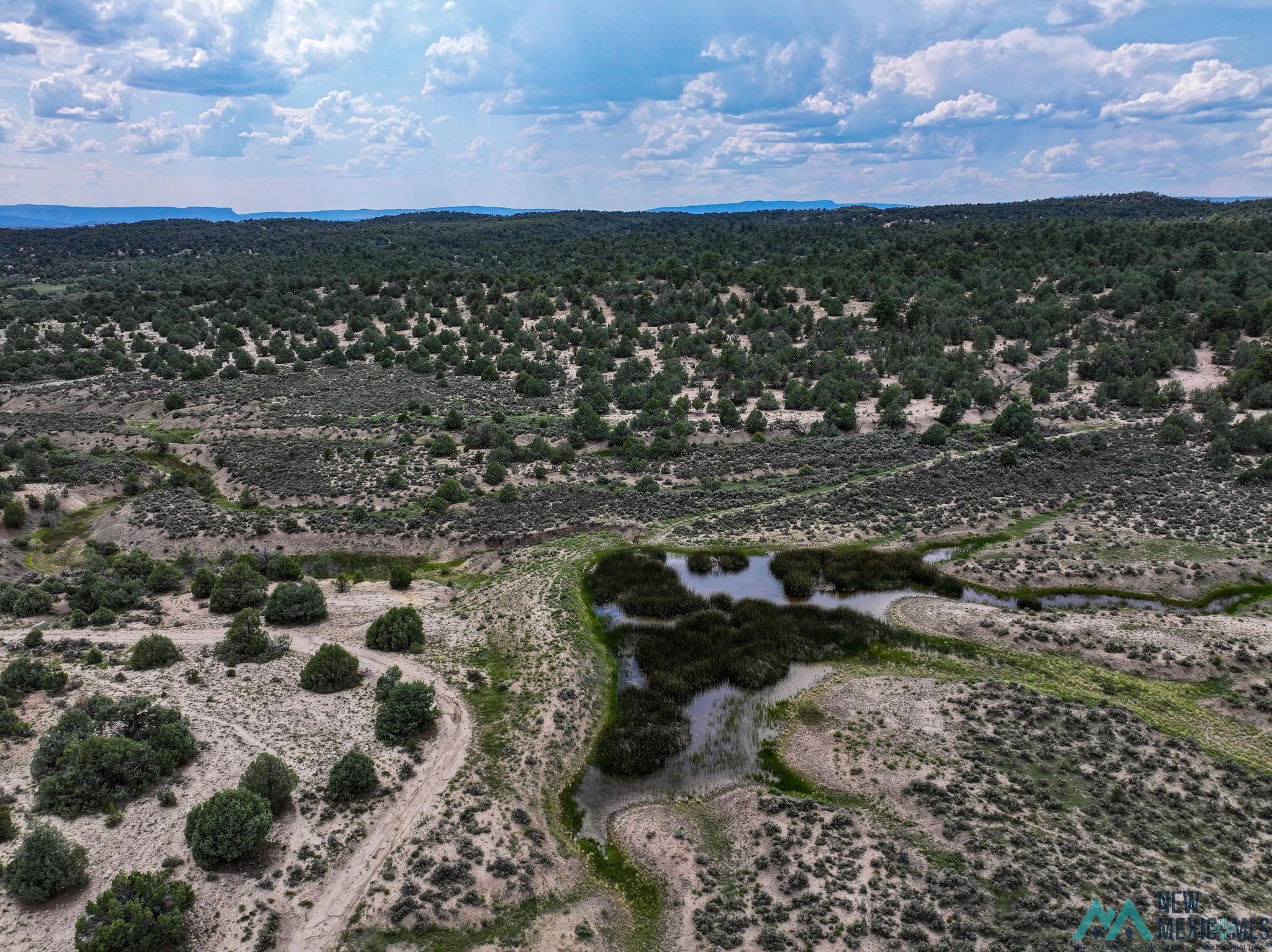 000 Highway 84, Tierra Amarilla, Texas image 15