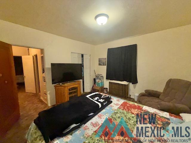 800 S 5th Street, Raton, Texas image 12