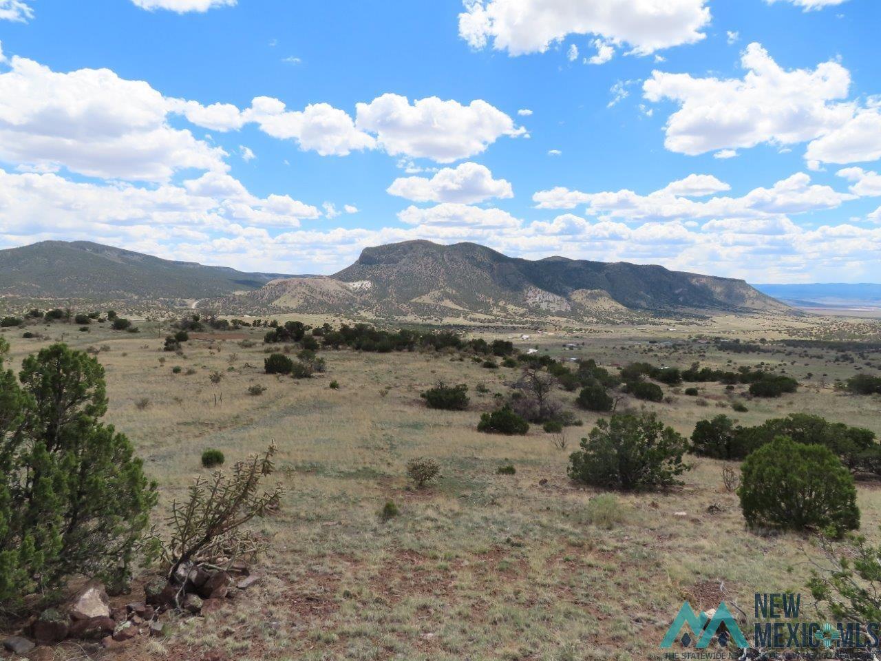 TBD Roundy Loop, Grants, New Mexico image 1