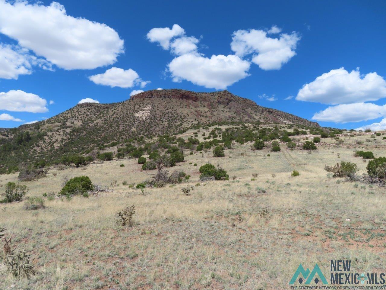 TBD Roundy Loop, Grants, New Mexico image 2