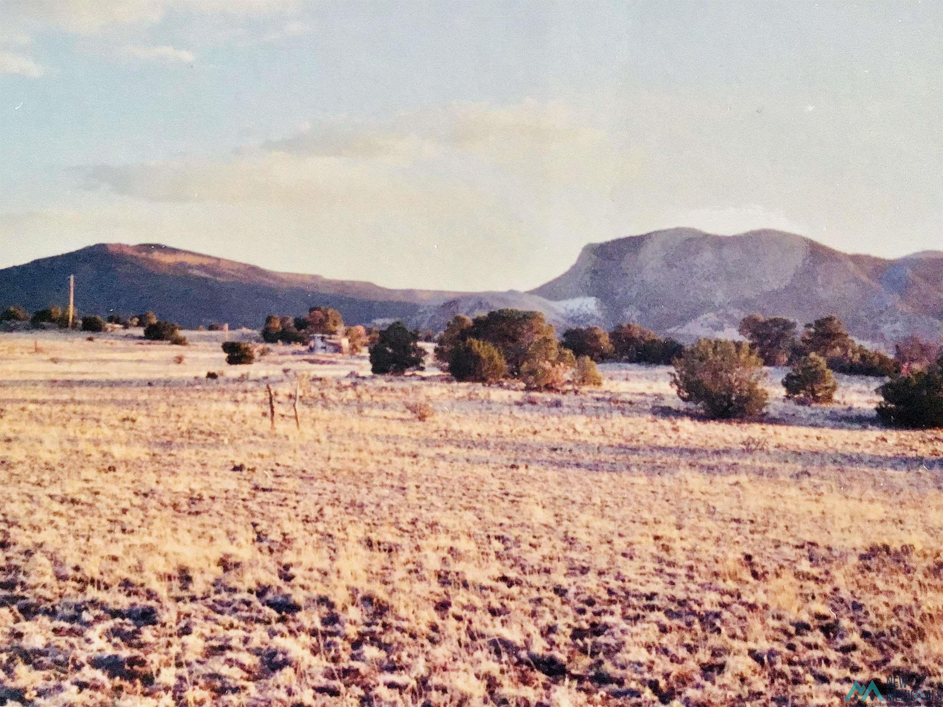 TBD Roundy Loop, Grants, New Mexico image 7