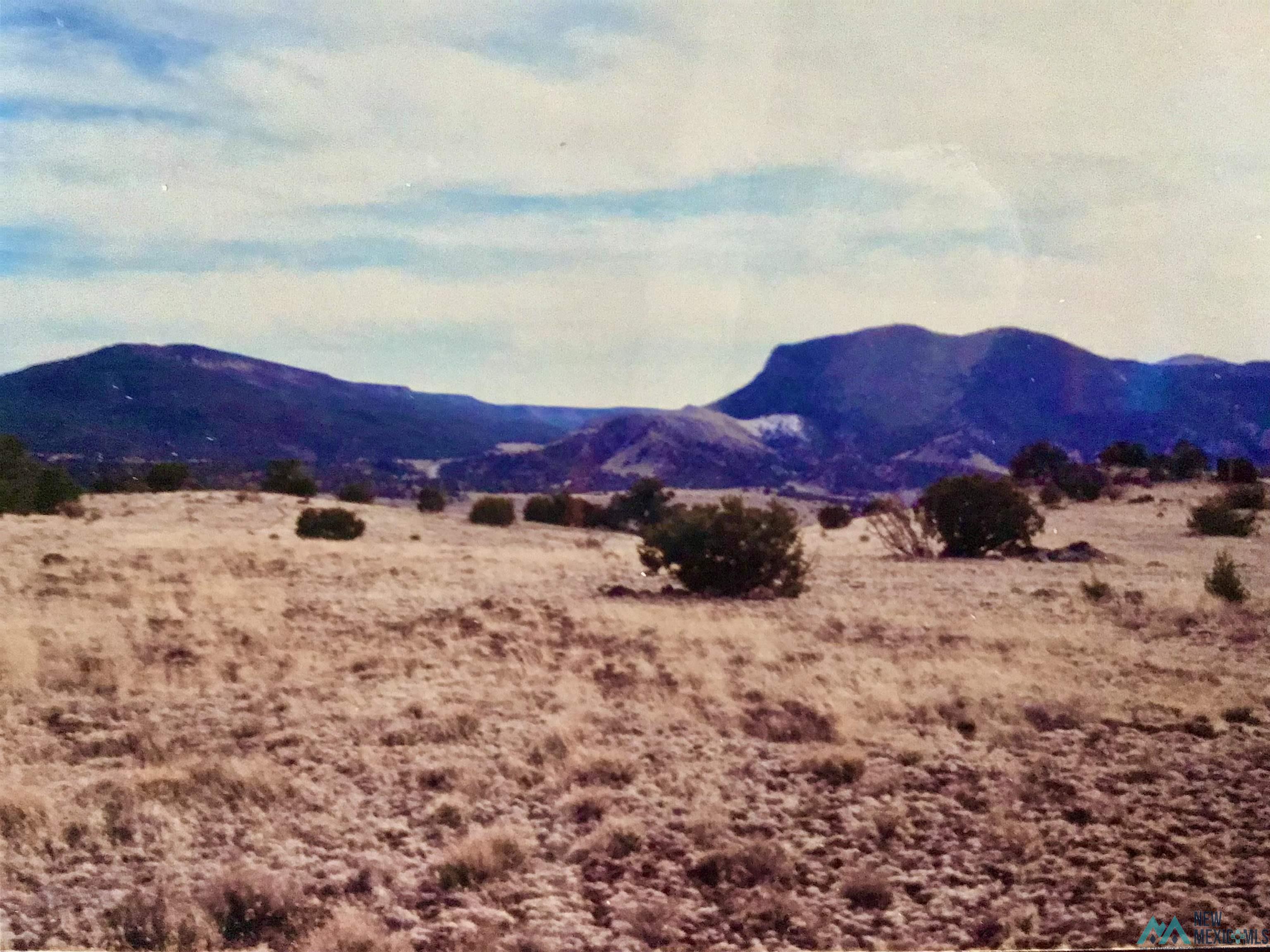 TBD Roundy Loop, Grants, New Mexico image 6