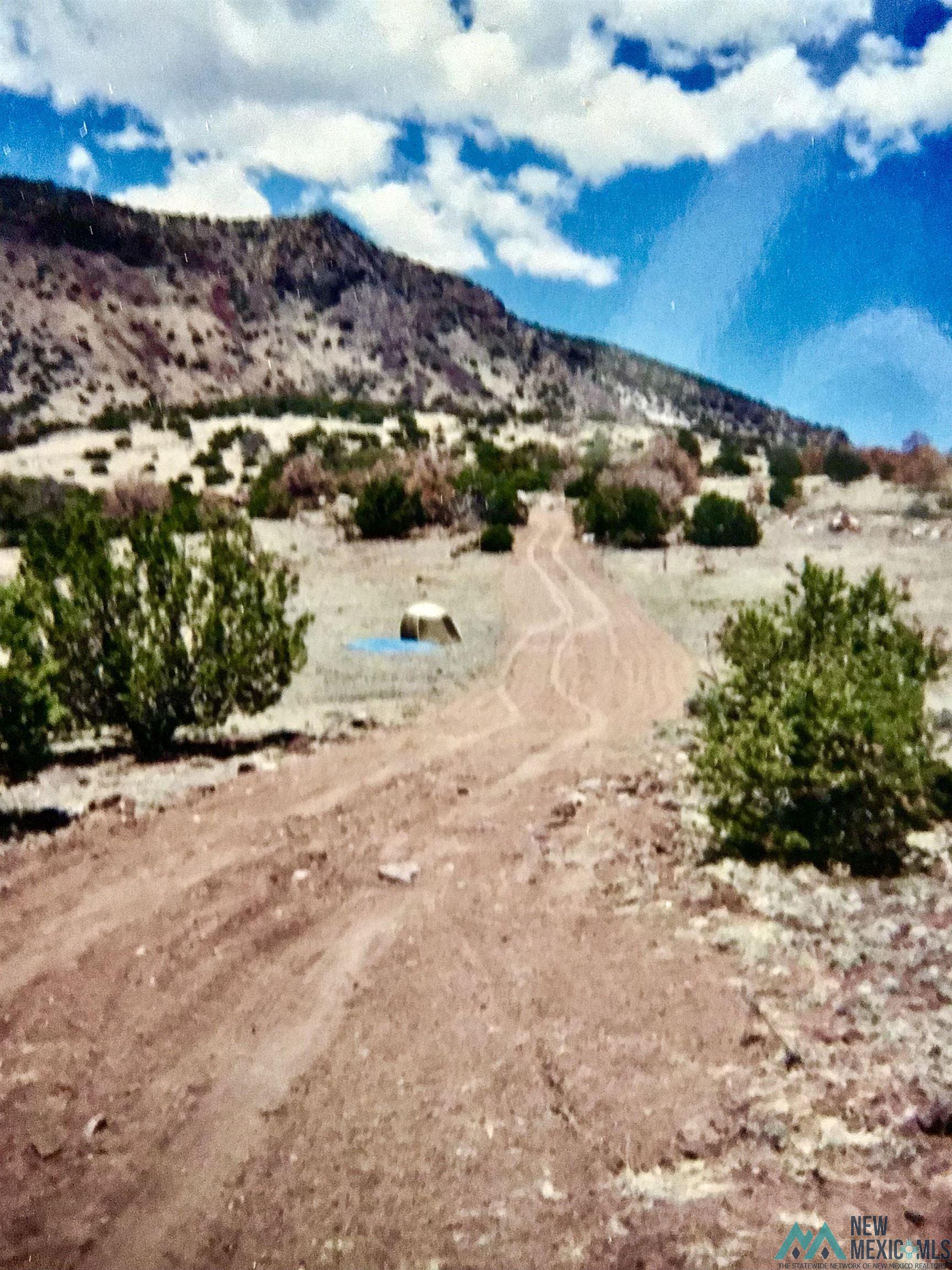 TBD Roundy Loop, Grants, New Mexico image 4