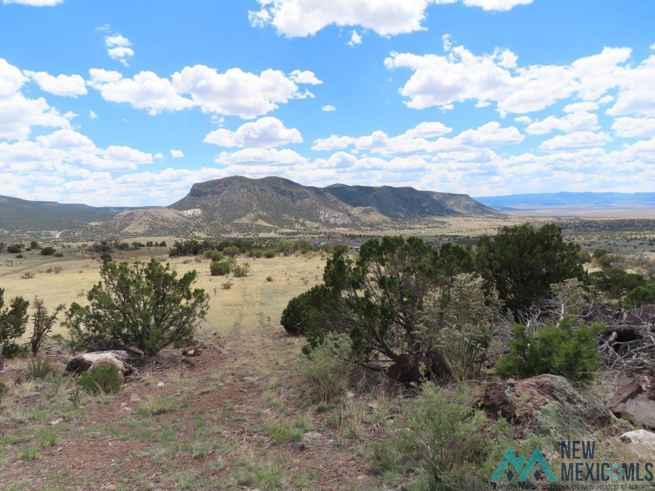 TBD Roundy Loop, Grants, New Mexico image 3