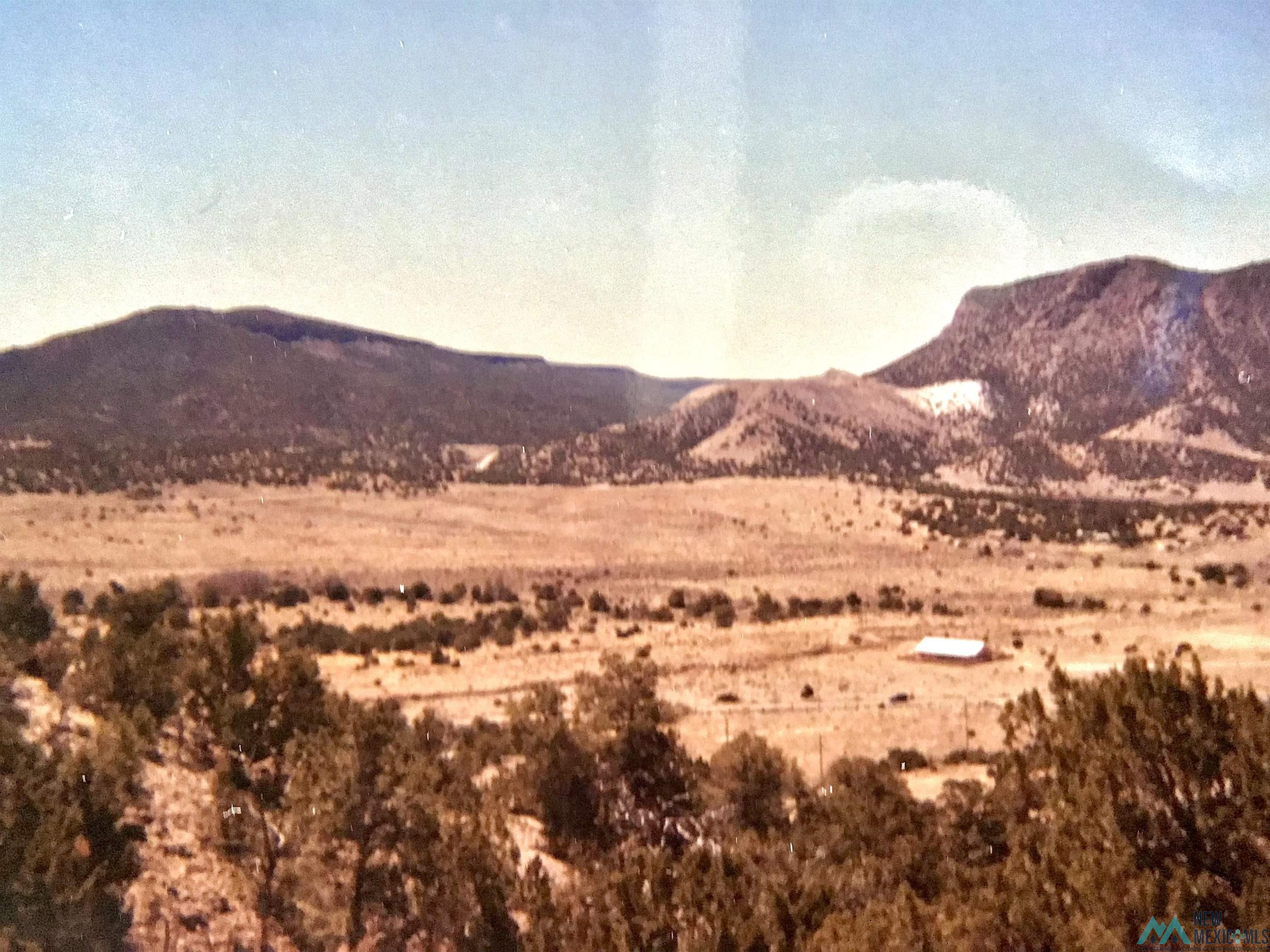 TBD Roundy Loop, Grants, New Mexico image 9