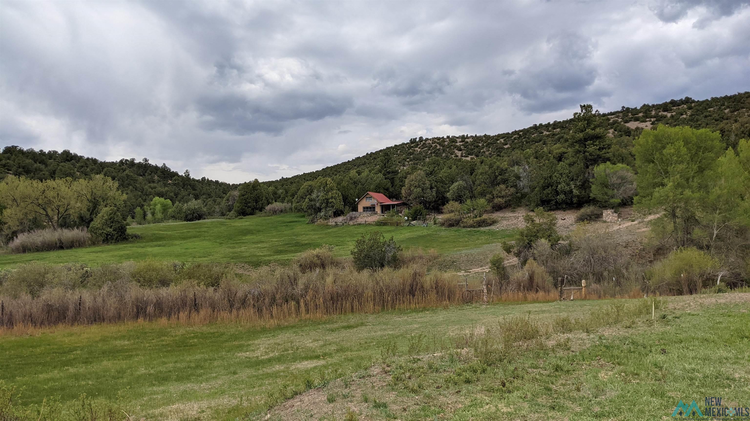 95 Llanito Road, Chimayo, Texas image 49