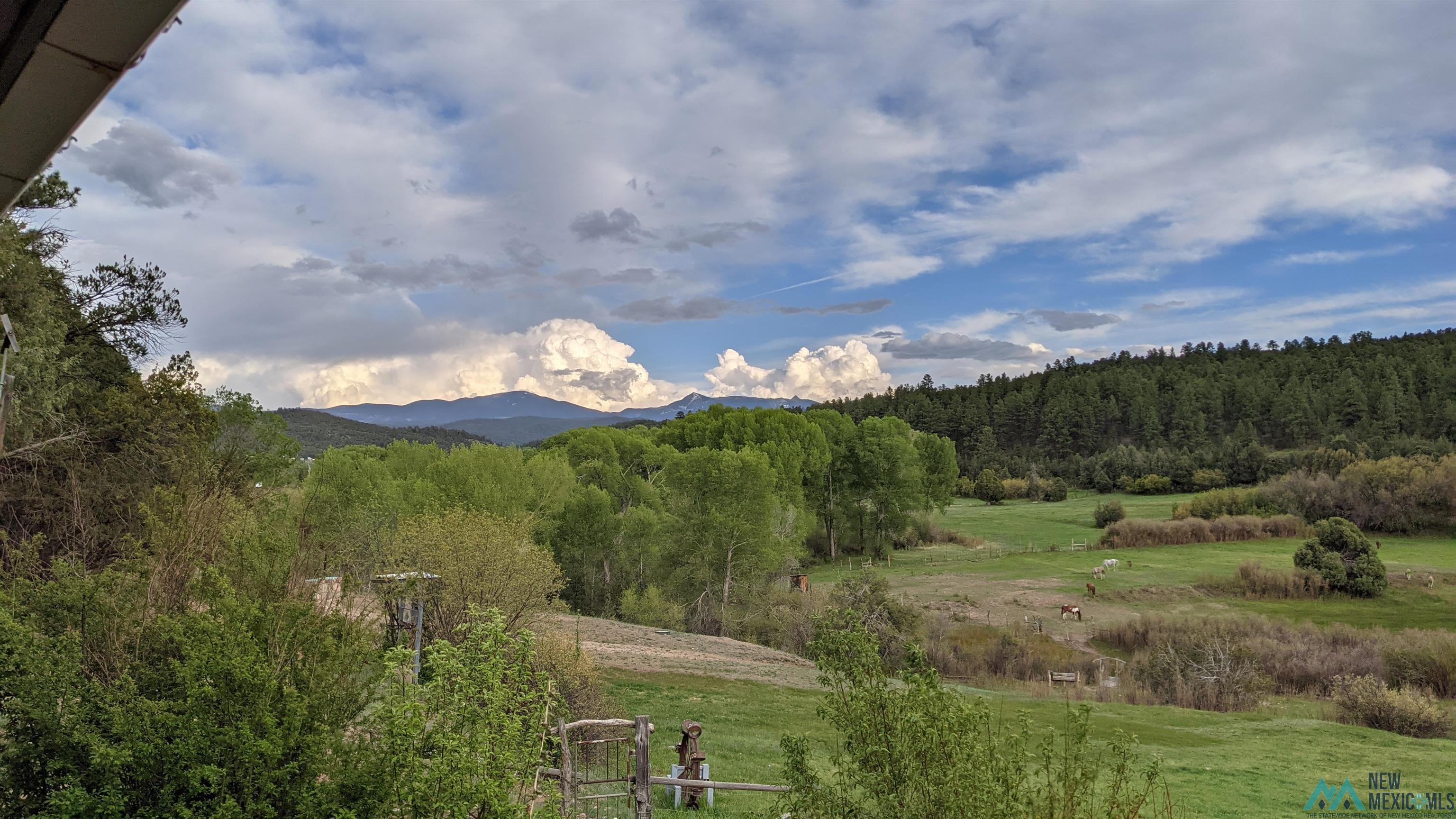 95 Llanito Road, Chimayo, Texas image 18