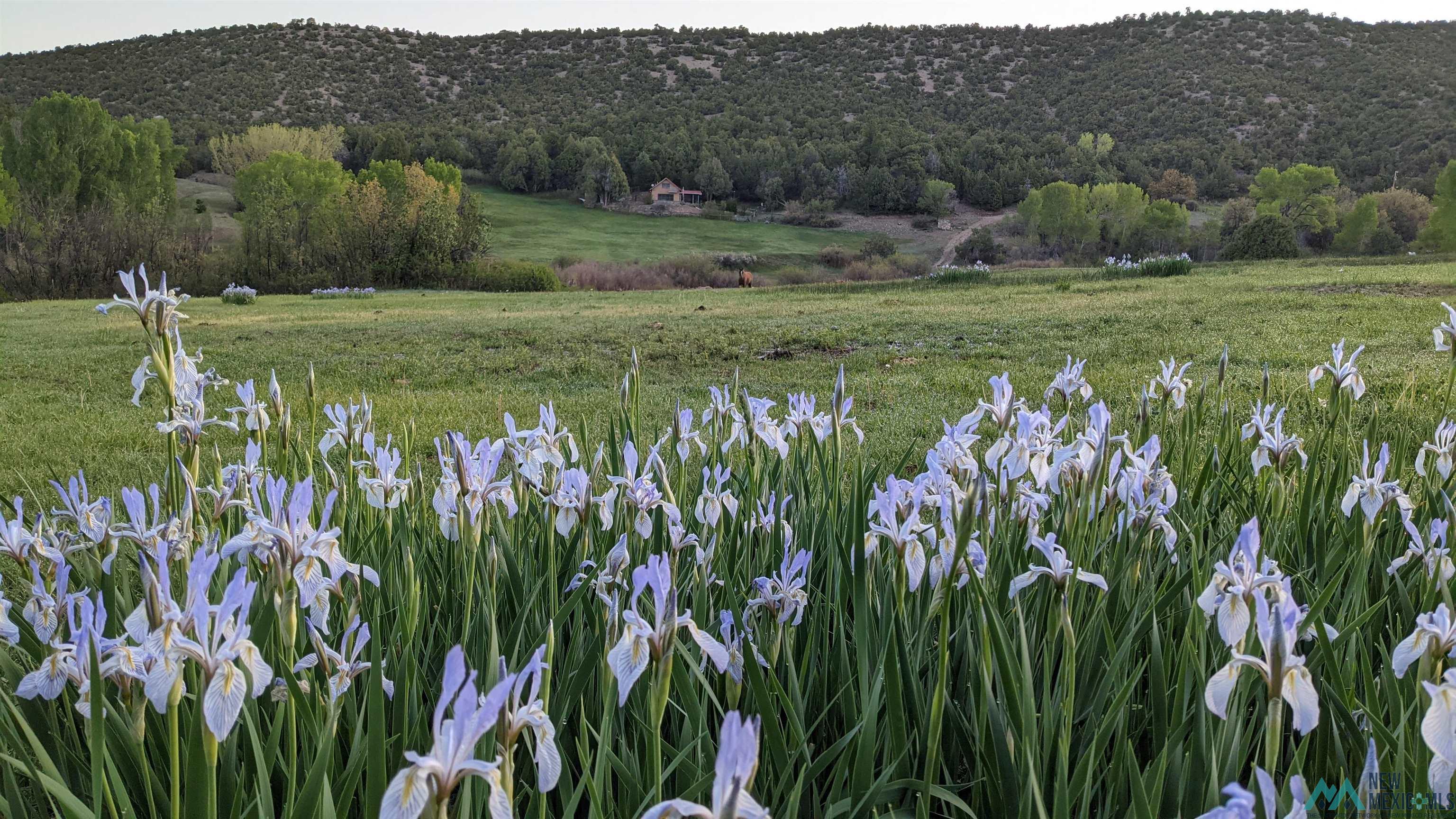 95 Llanito Road, Chimayo, Texas image 36