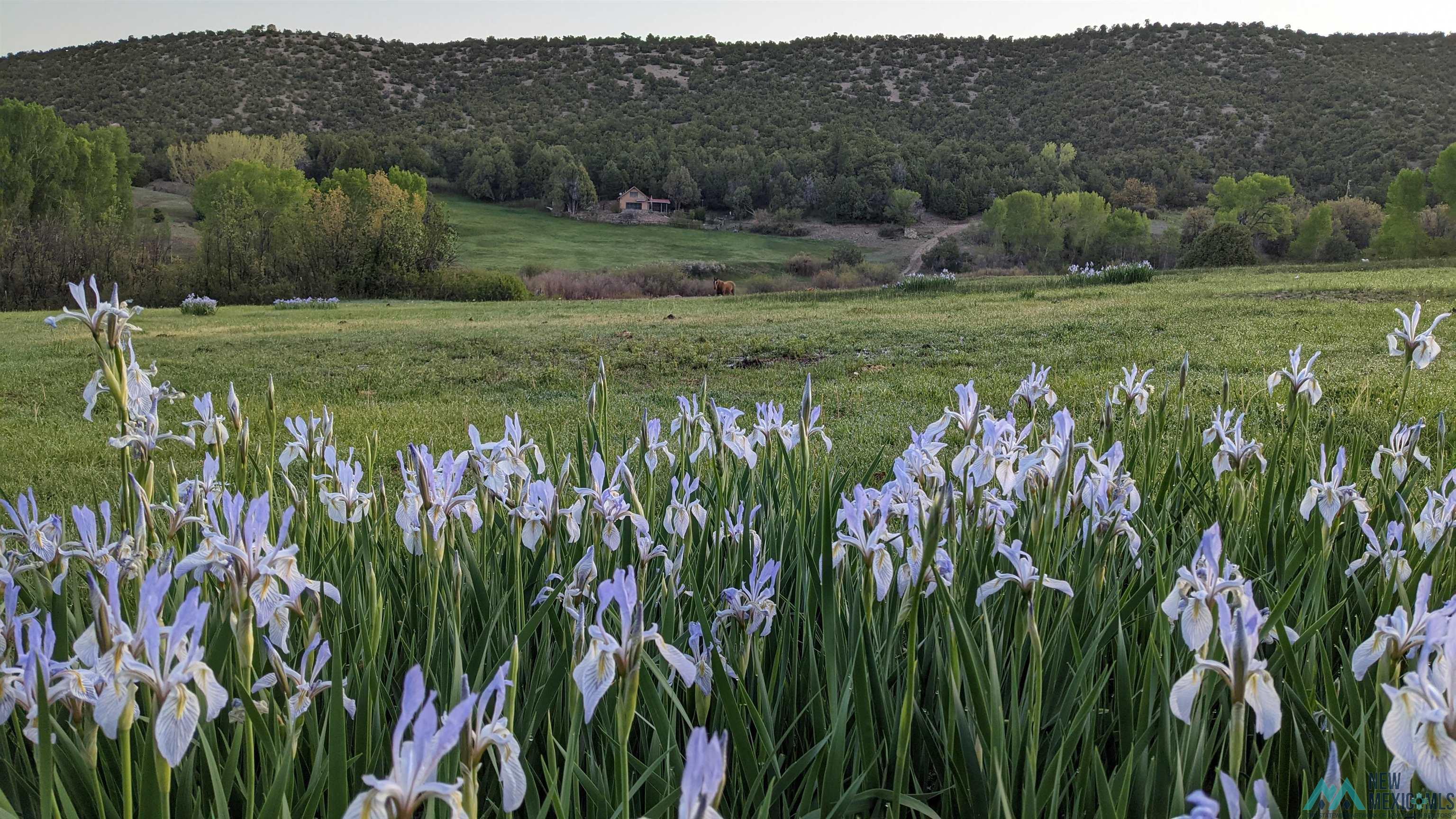 95 Llanito Road, Chimayo, Texas image 35