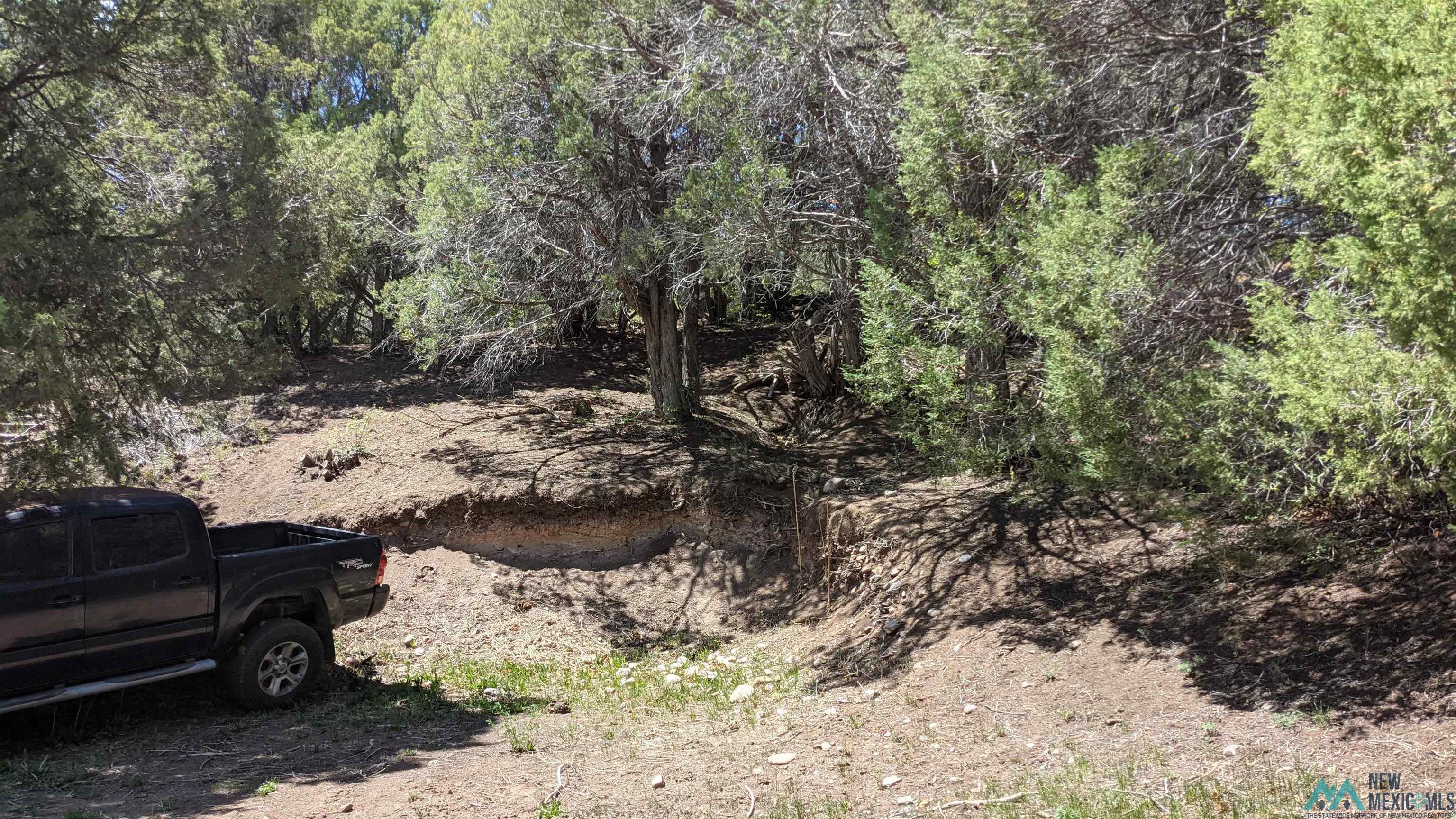 95 Llanito Road, Chimayo, Texas image 23