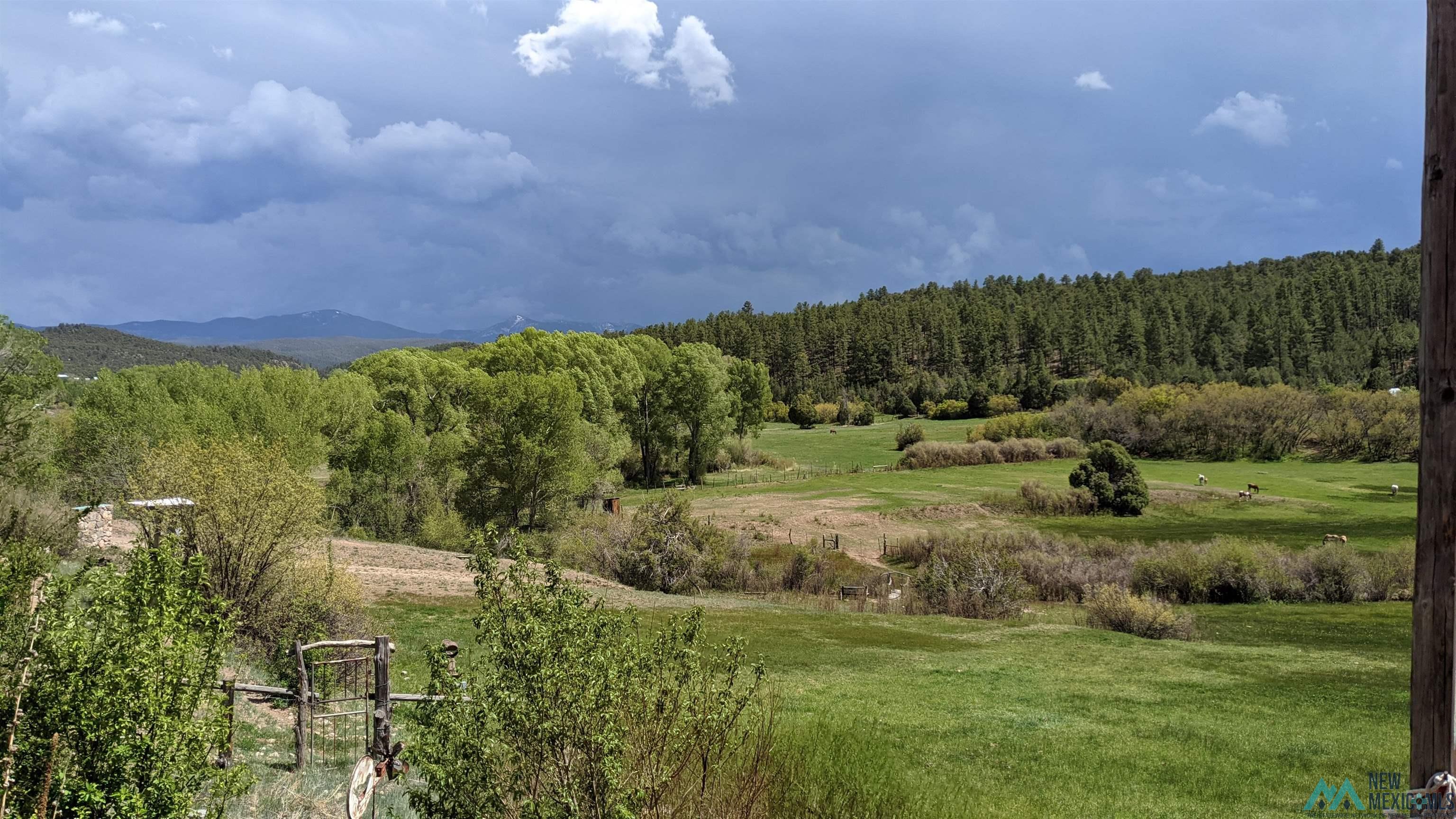 95 Llanito Road, Chimayo, Texas image 6