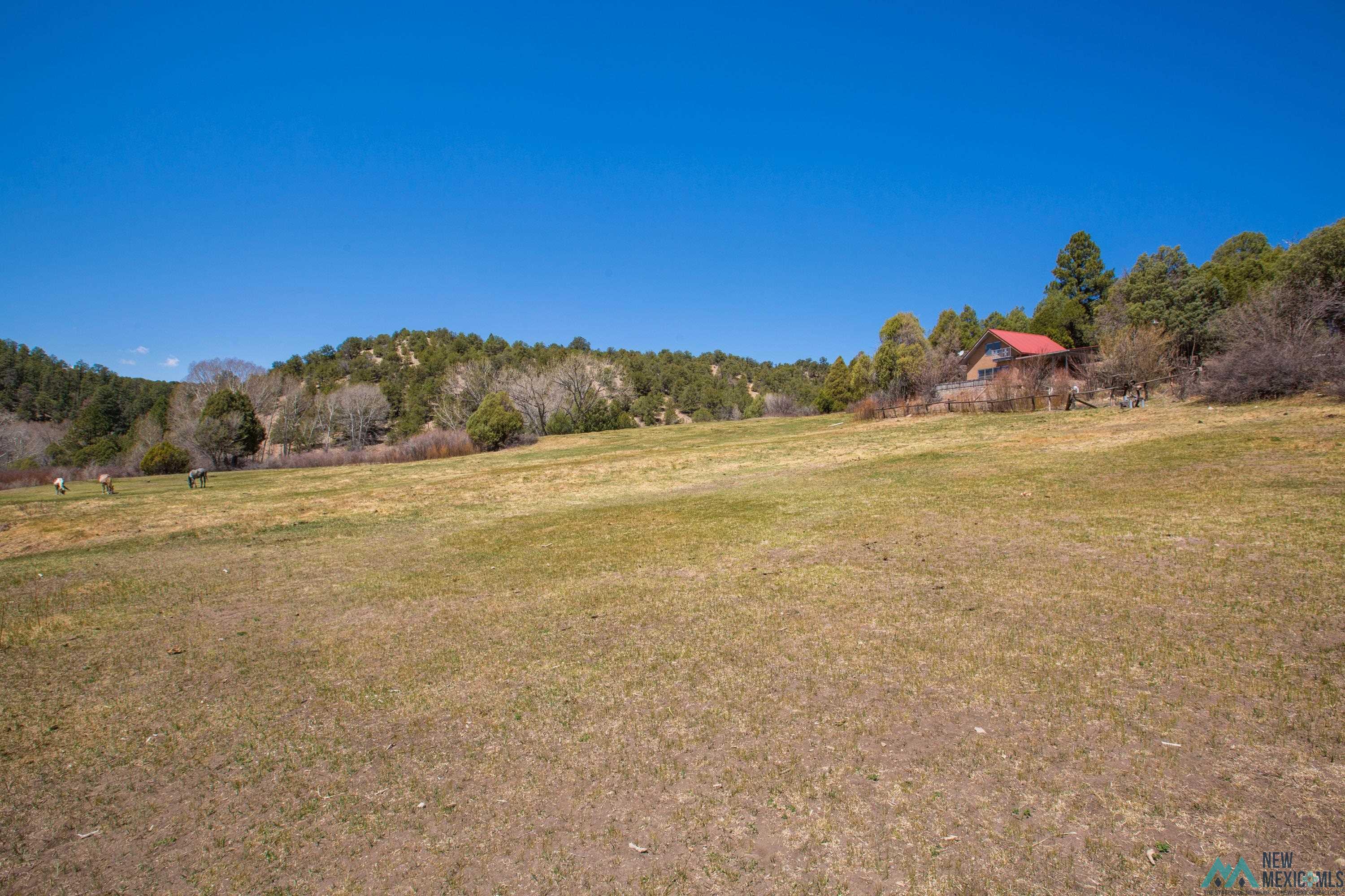95 Llanito Road, Chimayo, Texas image 4