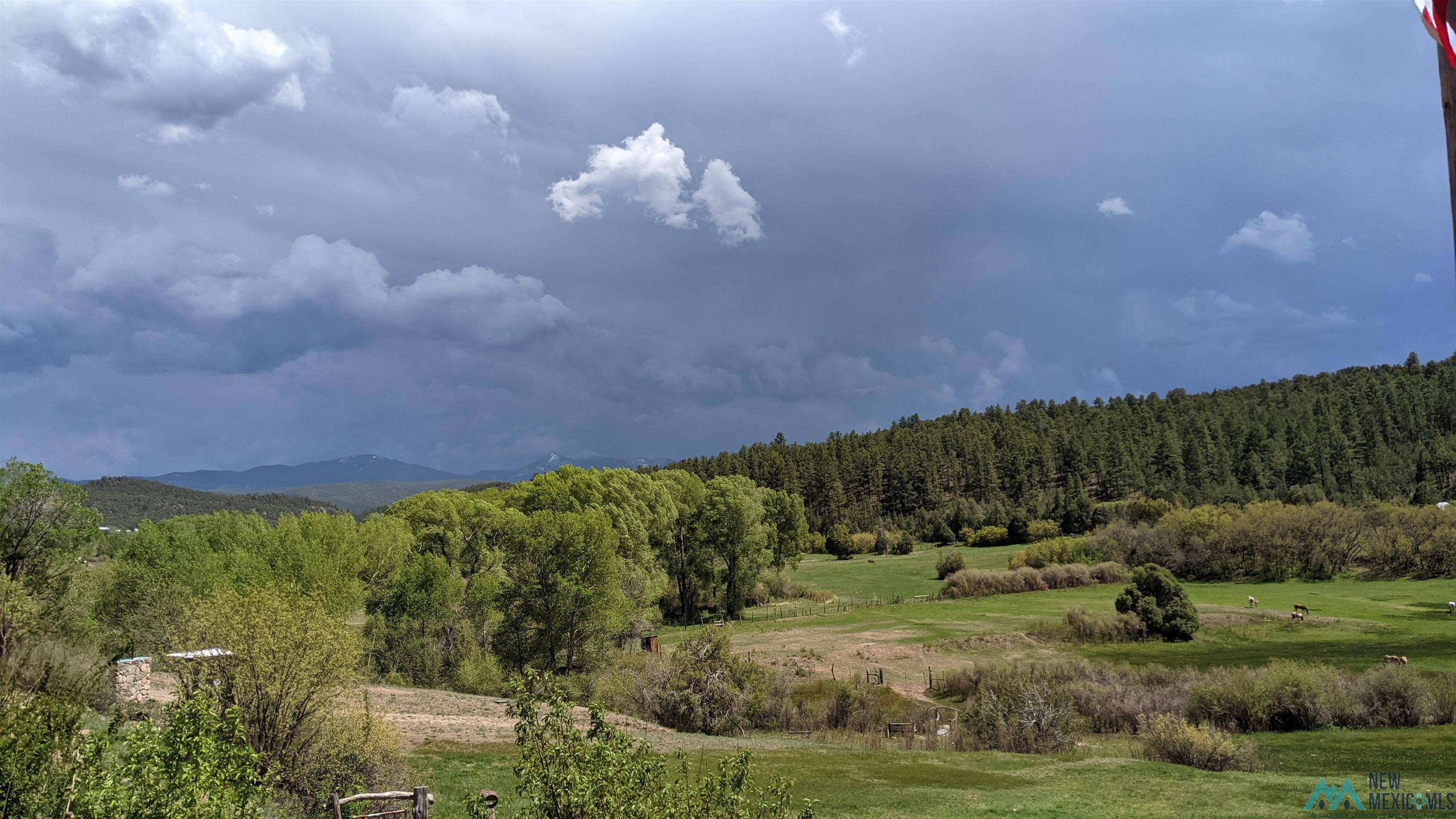 95 Llanito Road, Chimayo, Texas image 45