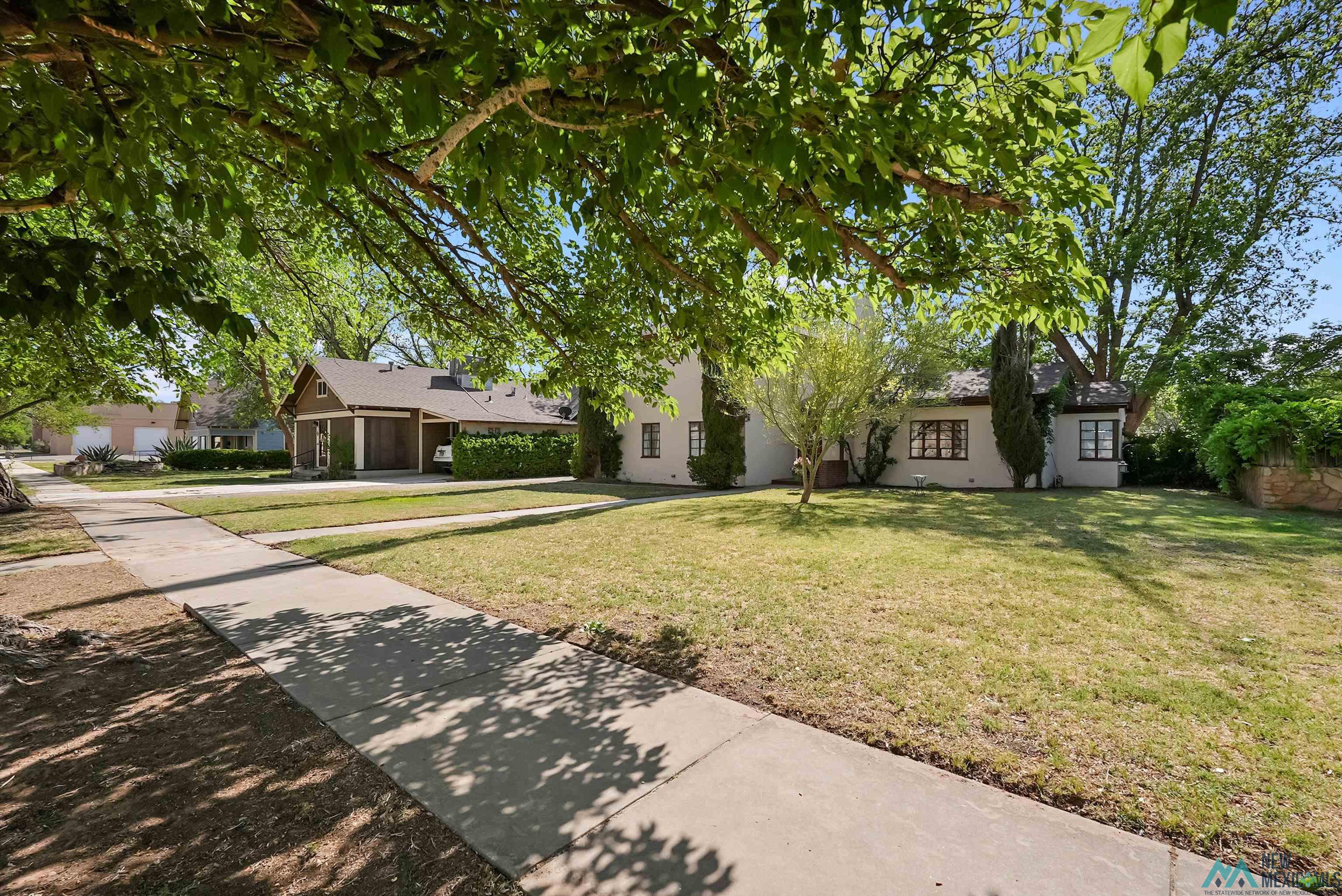 209 N Alameda Street, Carlsbad, Texas image 7