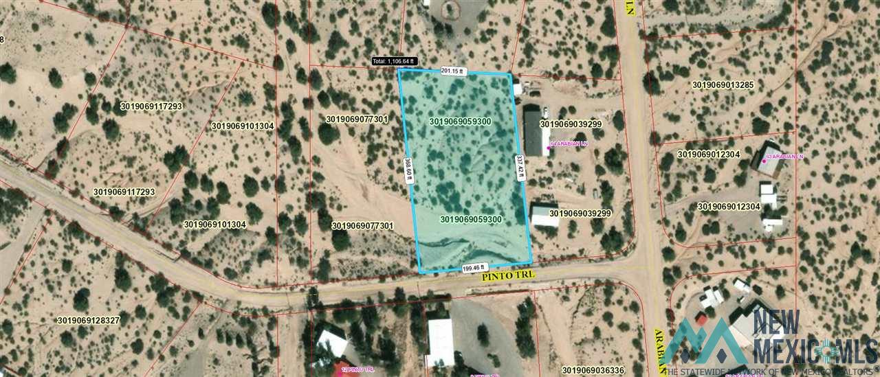 Lot 794 Pinto Trail, Elephant Butte, New Mexico image 1