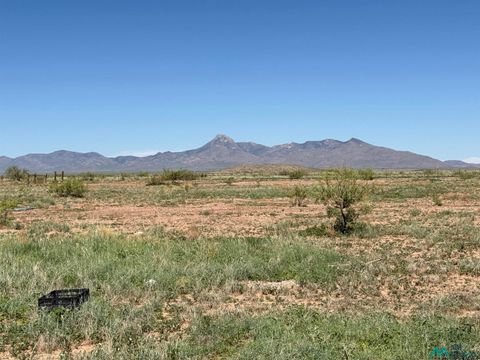 Vacant Land For Sale - 15760 Perrin Road<br/> Luna County, Deming, NM 88030