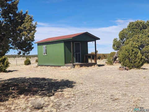 Vacant Land For Sale - 1 Coyote Road<br/> Pie Town, NM 87827