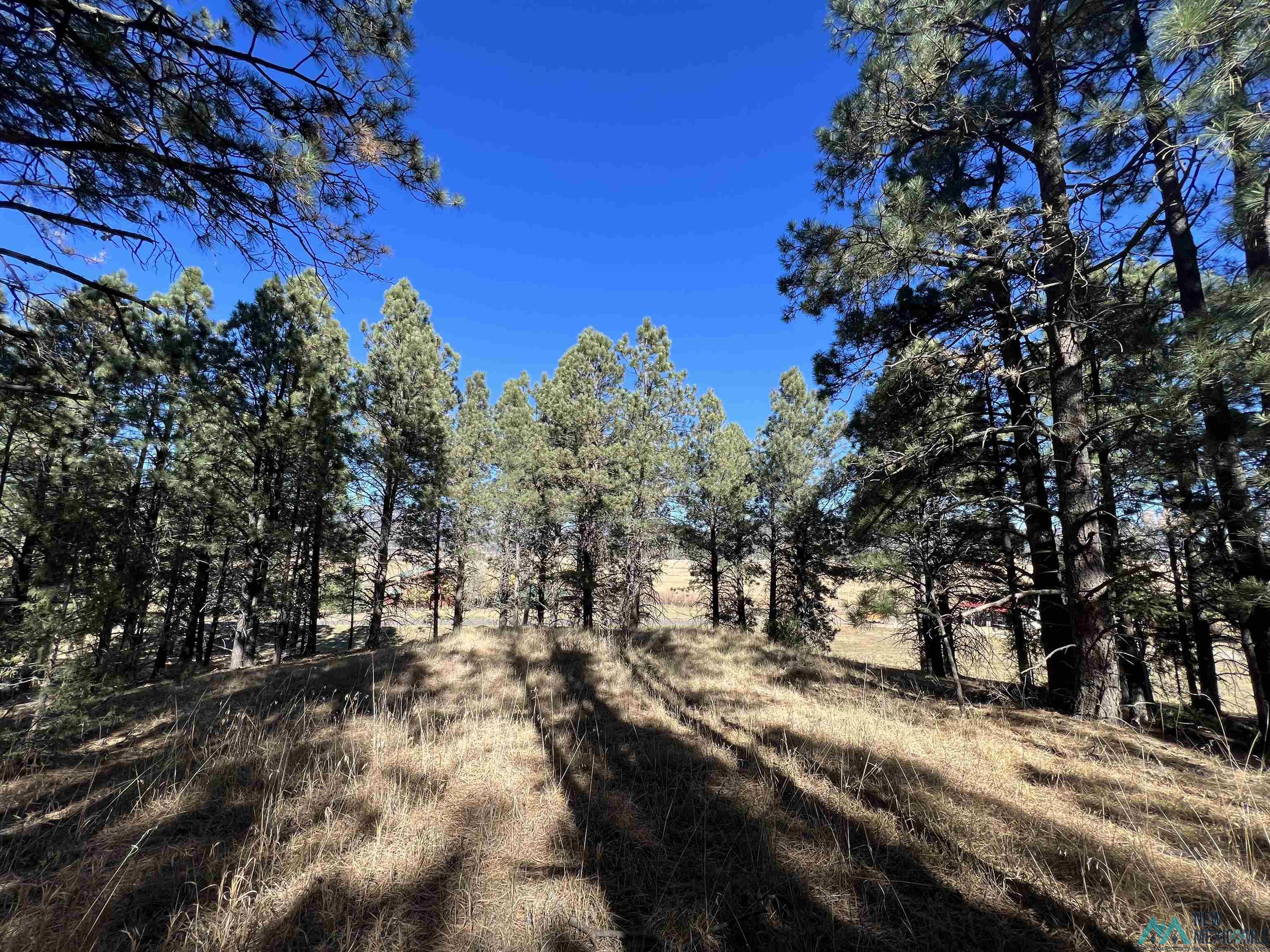 1 & 2 Chapel Rd & Cr A34 Road, Rociada, New Mexico image 4