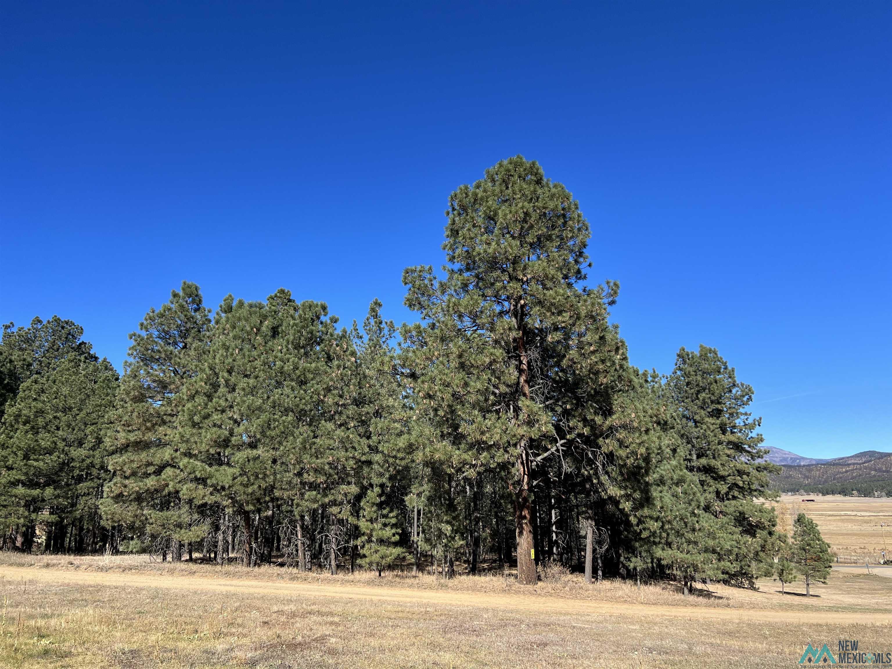 1 & 2 Chapel Rd & Cr A34 Road, Rociada, New Mexico image 8