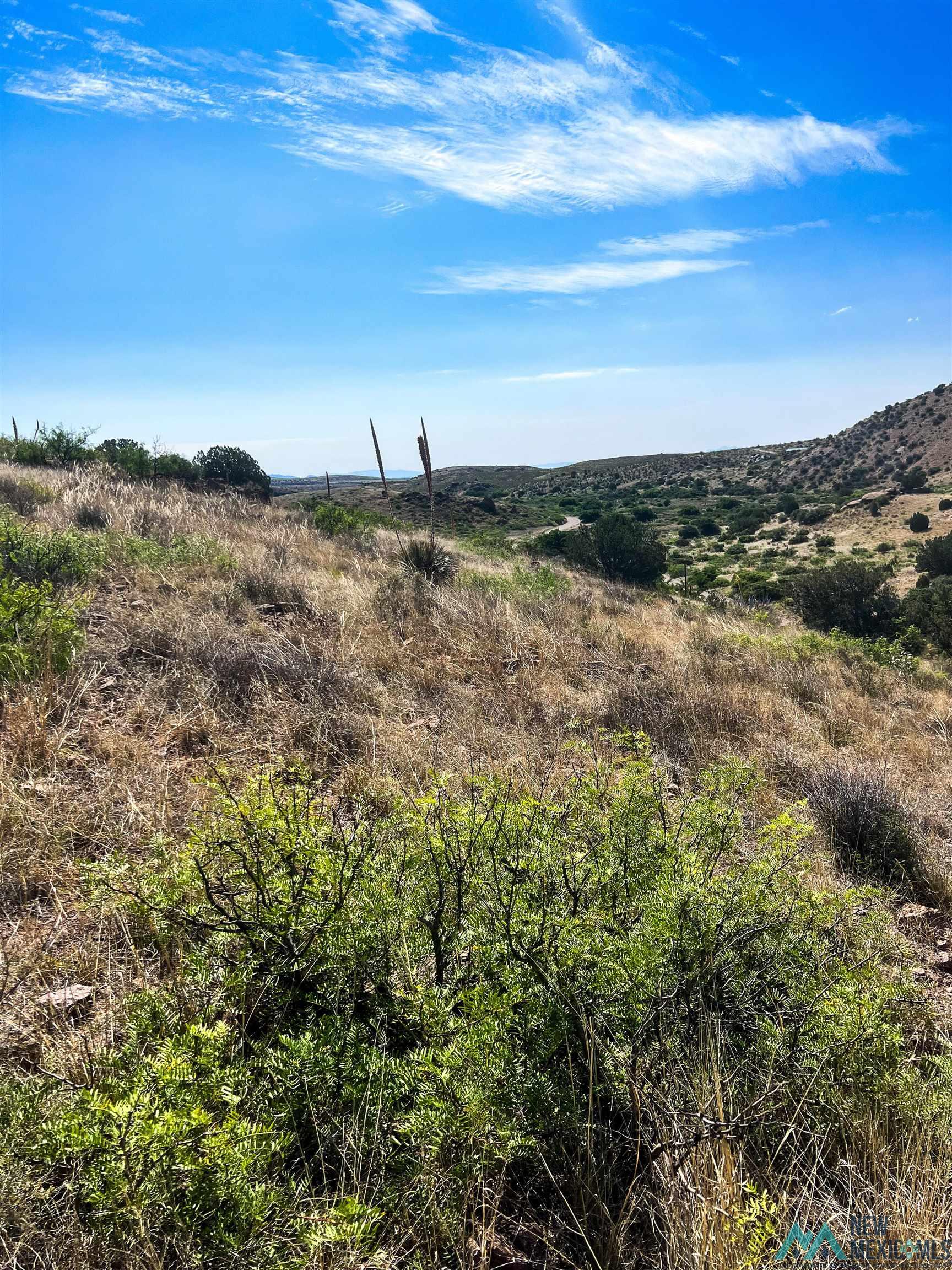 81 Berrenda Trail, Hillsboro, New Mexico image 9