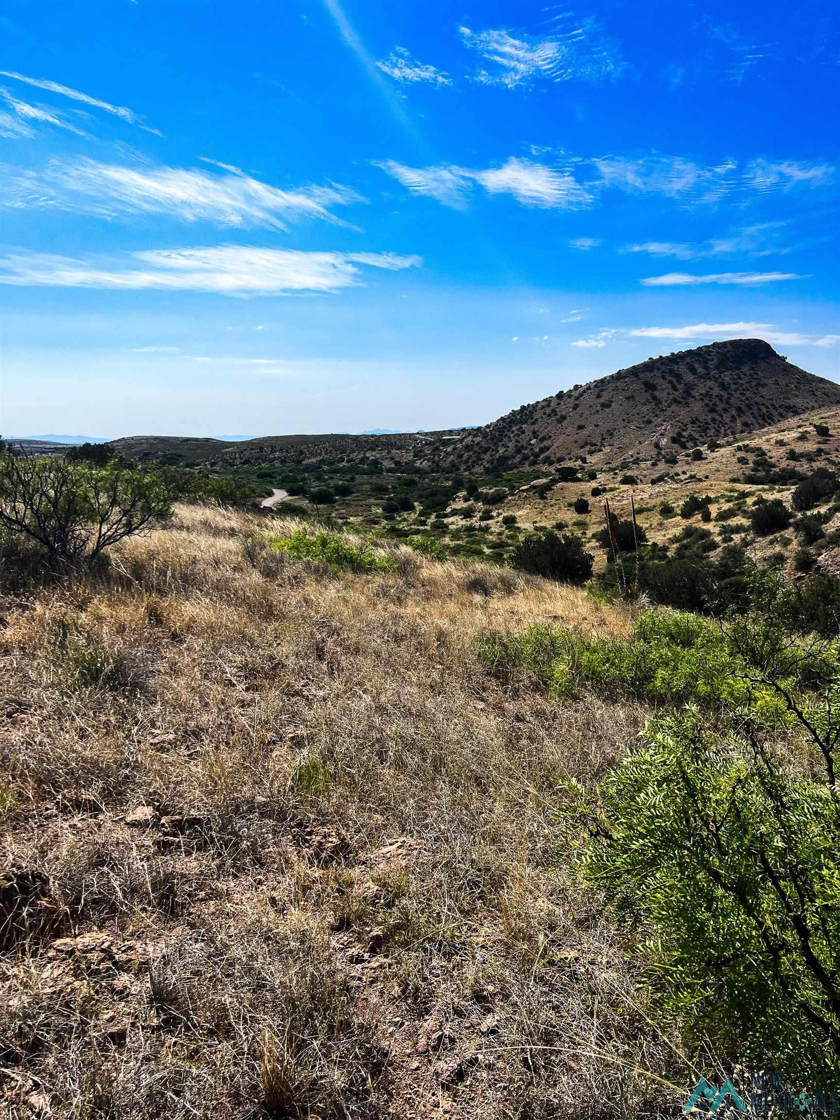 81 Berrenda Trail, Hillsboro, New Mexico image 5