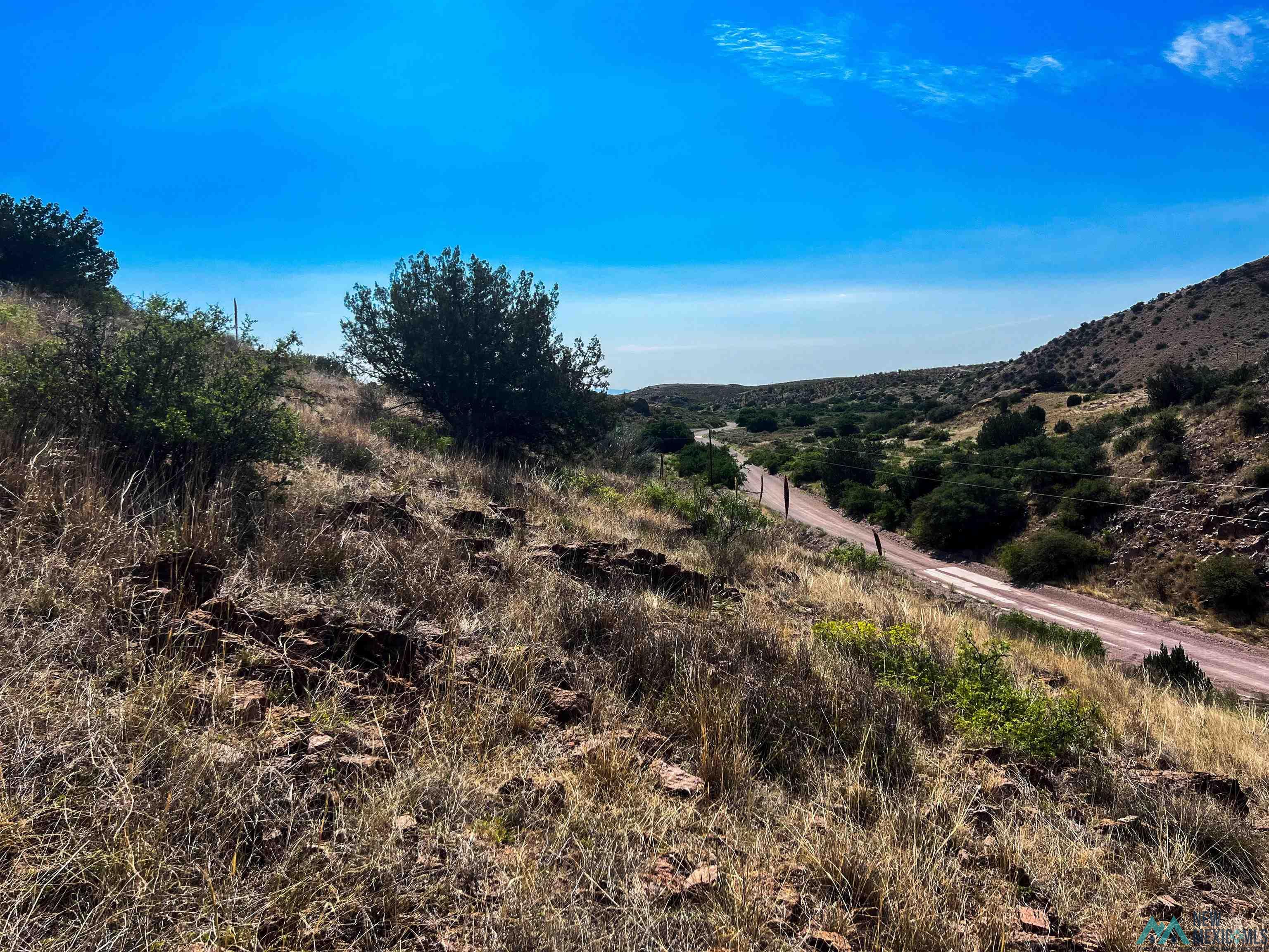 81 Berrenda Trail, Hillsboro, New Mexico image 11