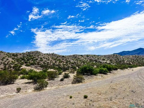 Vacant Land For Sale - 81 Berrenda Trail<br/> Hillsboro, NM 88042