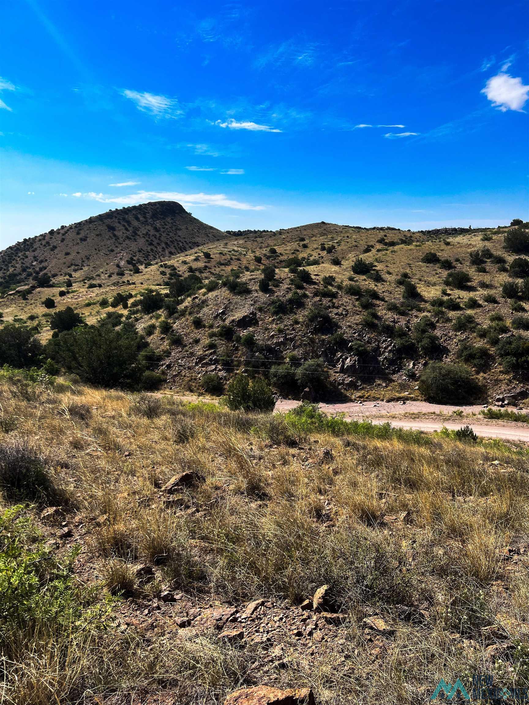 81 Berrenda Trail, Hillsboro, New Mexico image 8