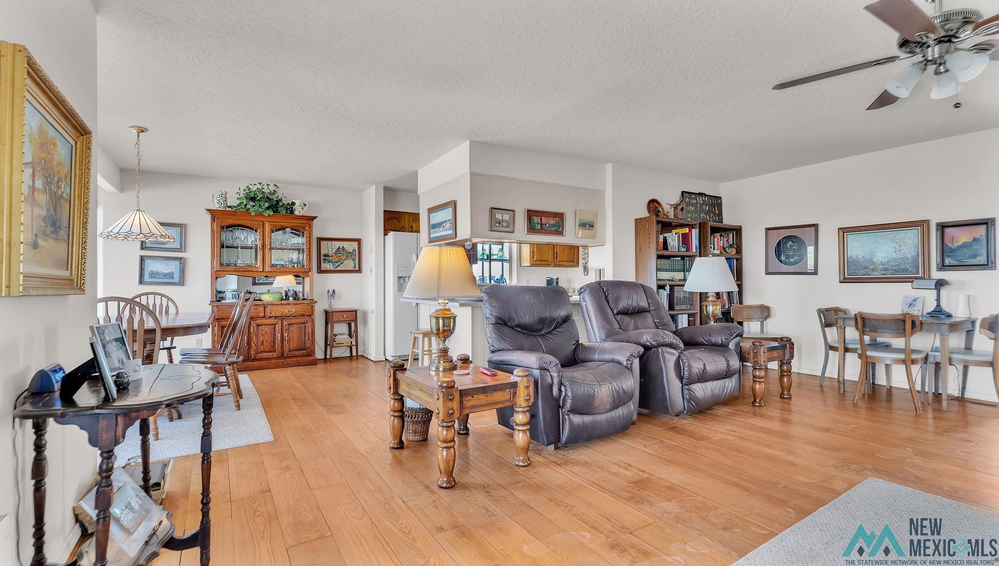 216 Country Drive, Elephant Butte, Texas image 9