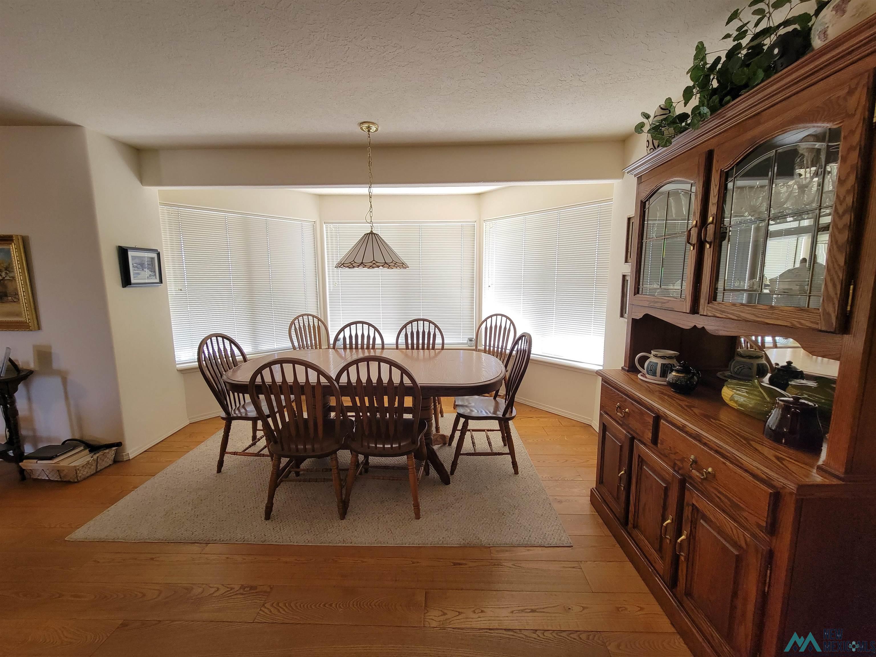 216 Country Drive, Elephant Butte, Texas image 25