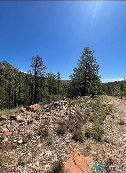 Vacant Land For Sale - 29 Beauregard Drive<br/> Timberon, NM 88350