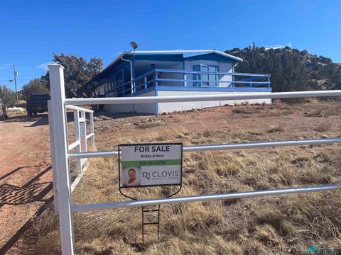 Homes For Sale - 301 Bullhead Drive<br/> Conchas Dam, NM 88416