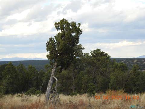 Vacant Land For Sale - 129 Tierra De Dios Rd<br/> Rowe, NM 87562